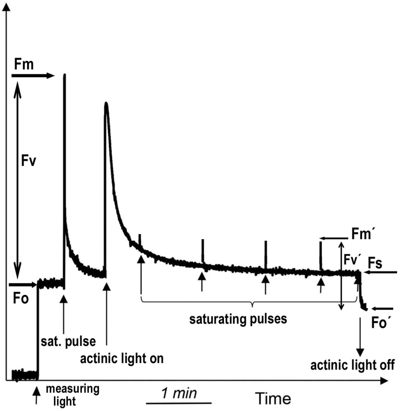 Plants 09 00962 g010