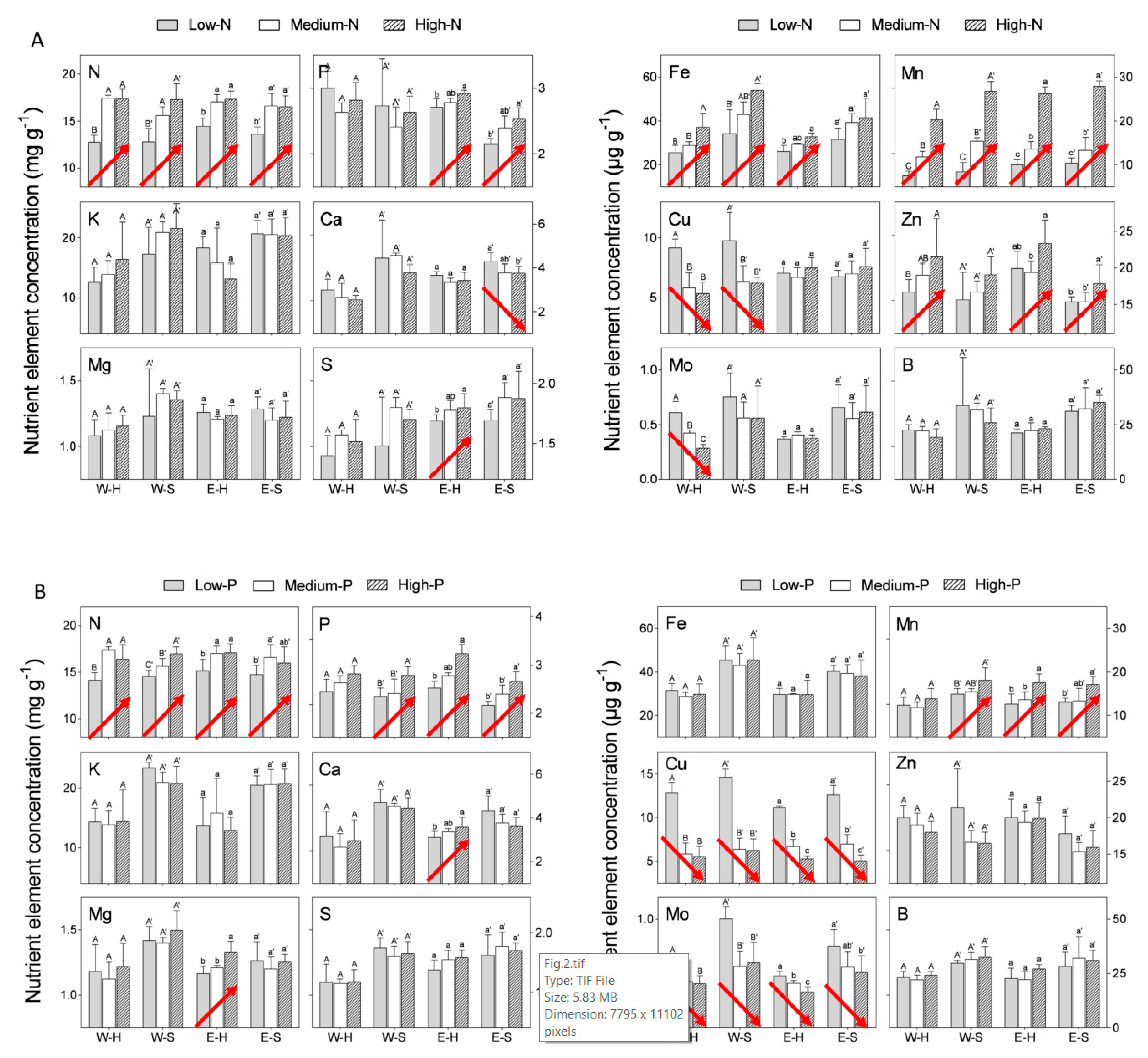 Plants 09 00963 g002a Plants 09 00963 g002a