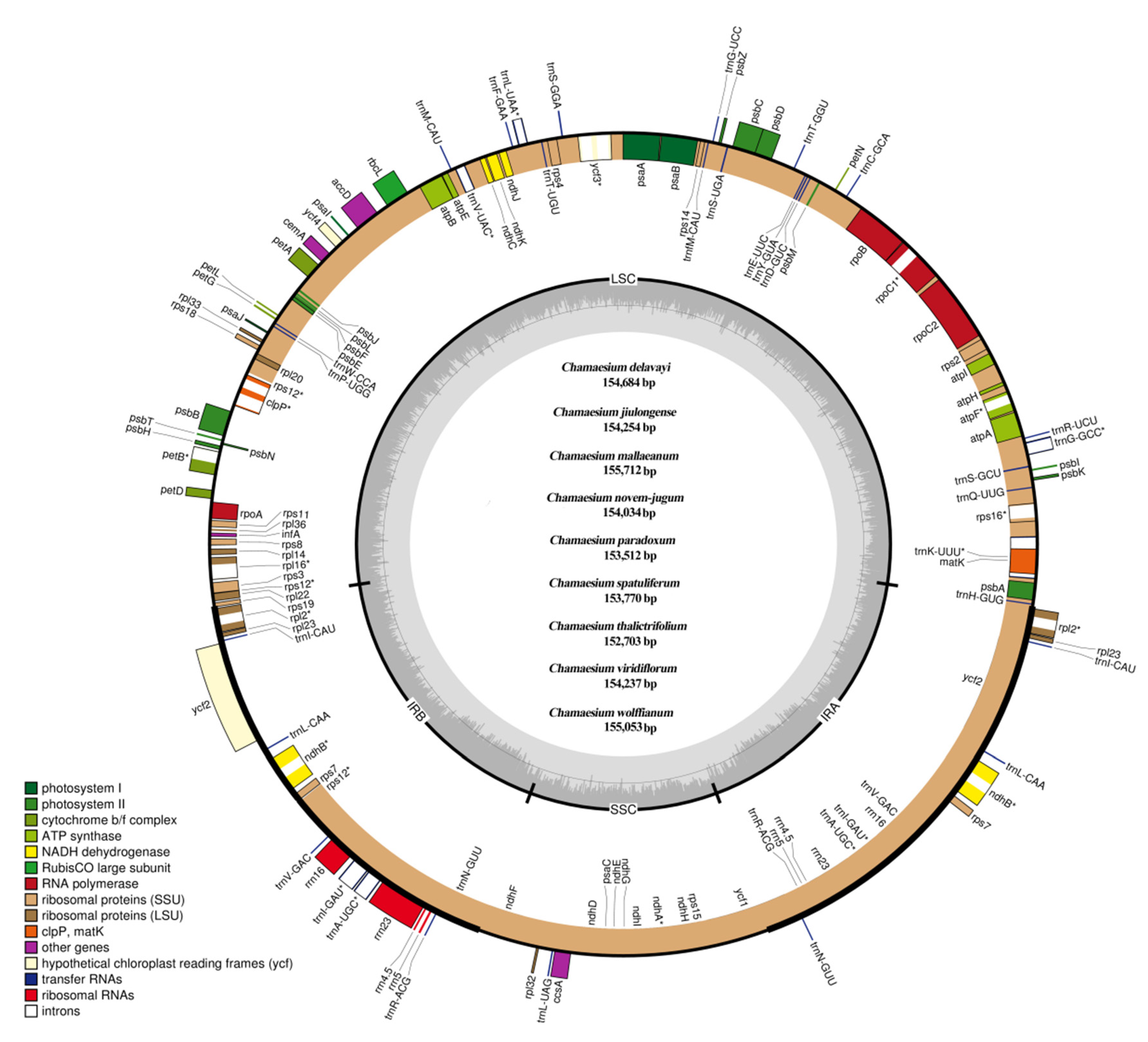 Plants 09 00965 g002