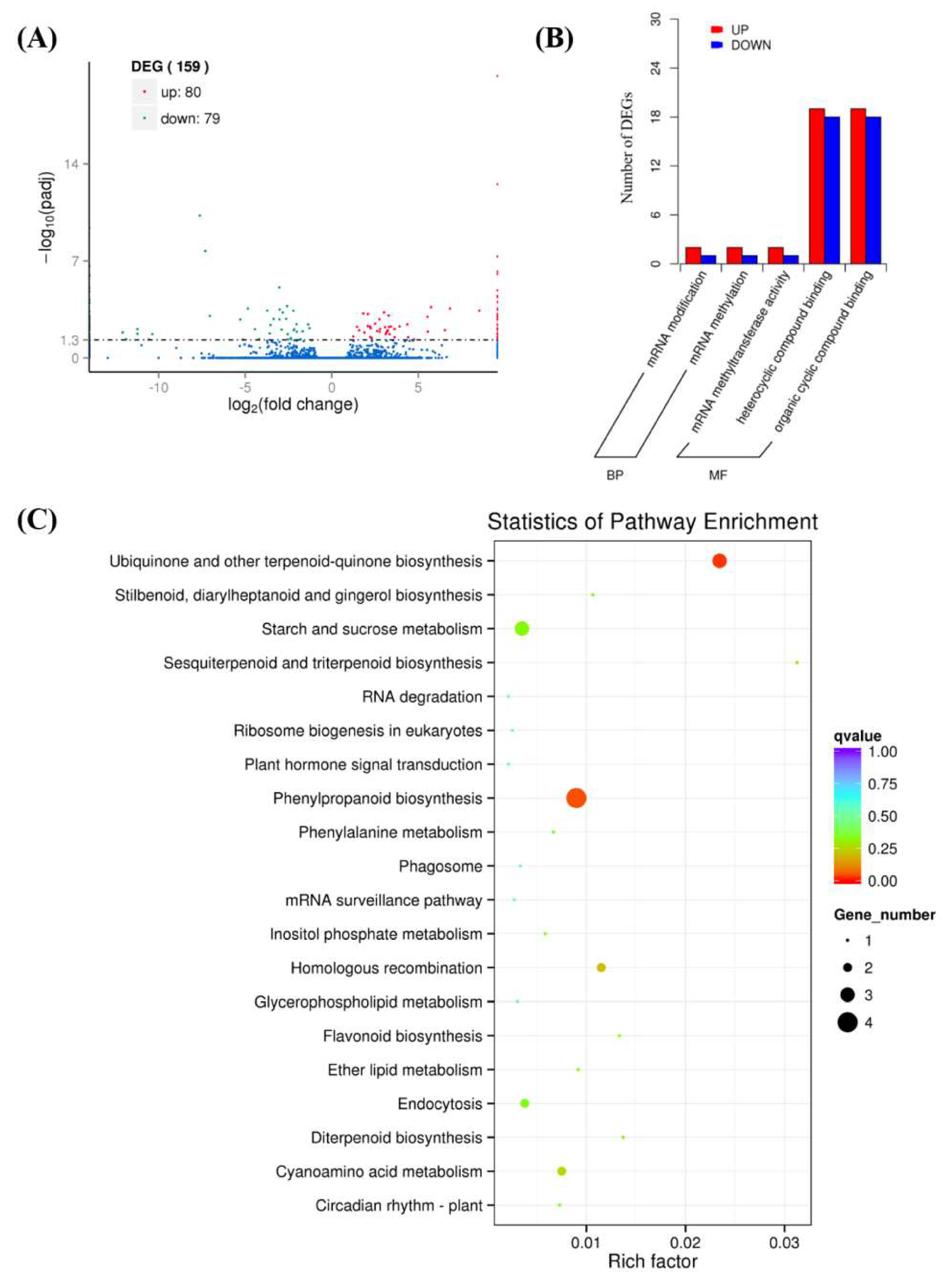 Plants 09 00970 g004