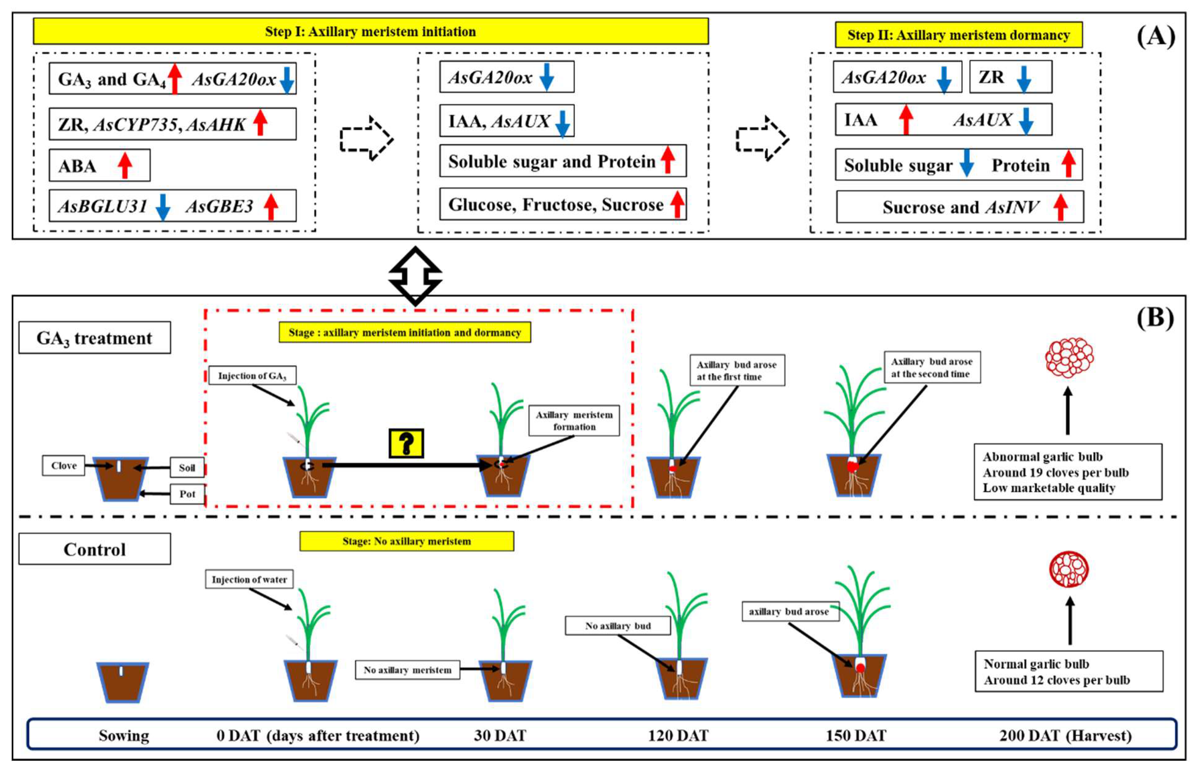 Plants 09 00970 g007