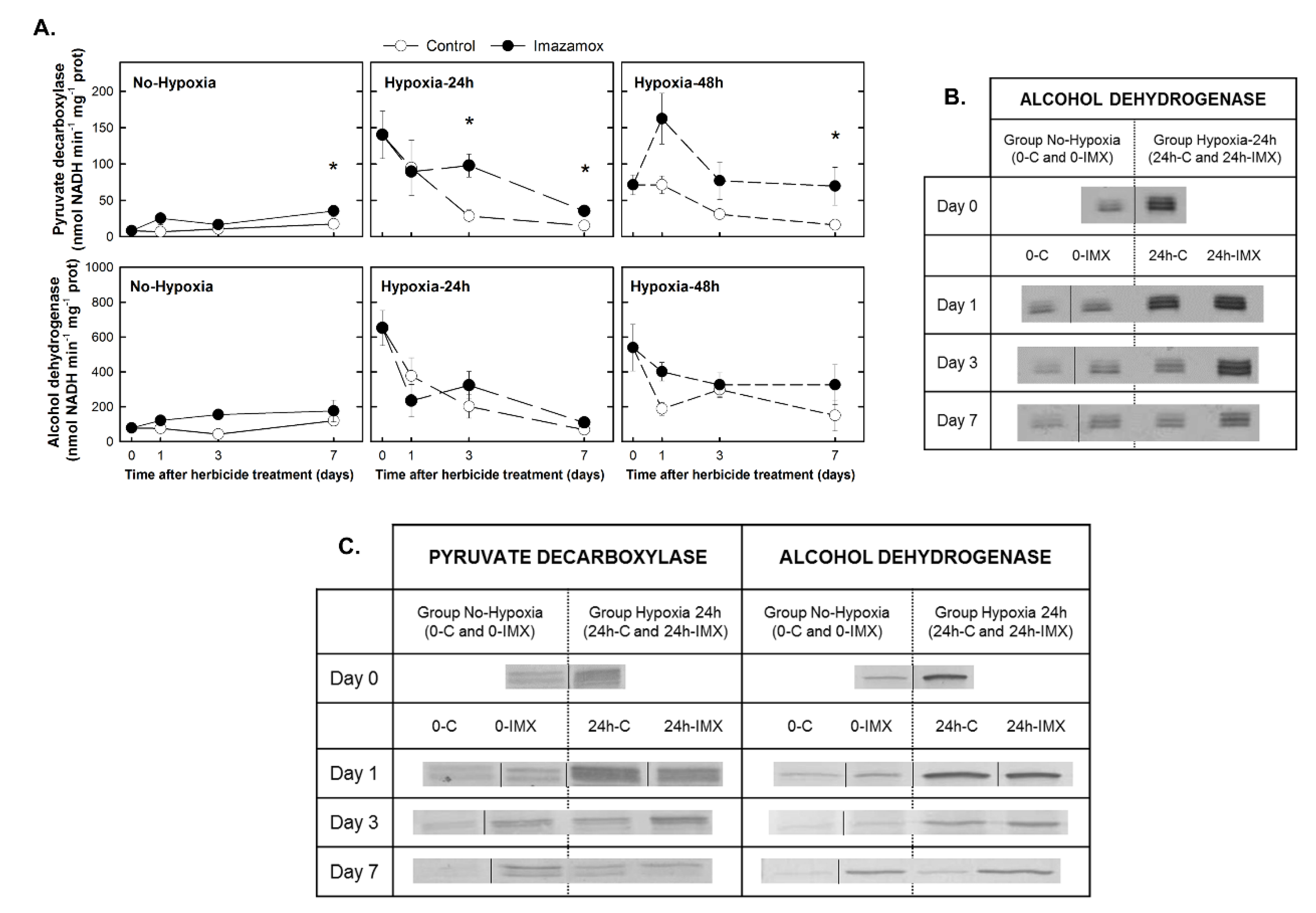 Plants 09 00981 g002
