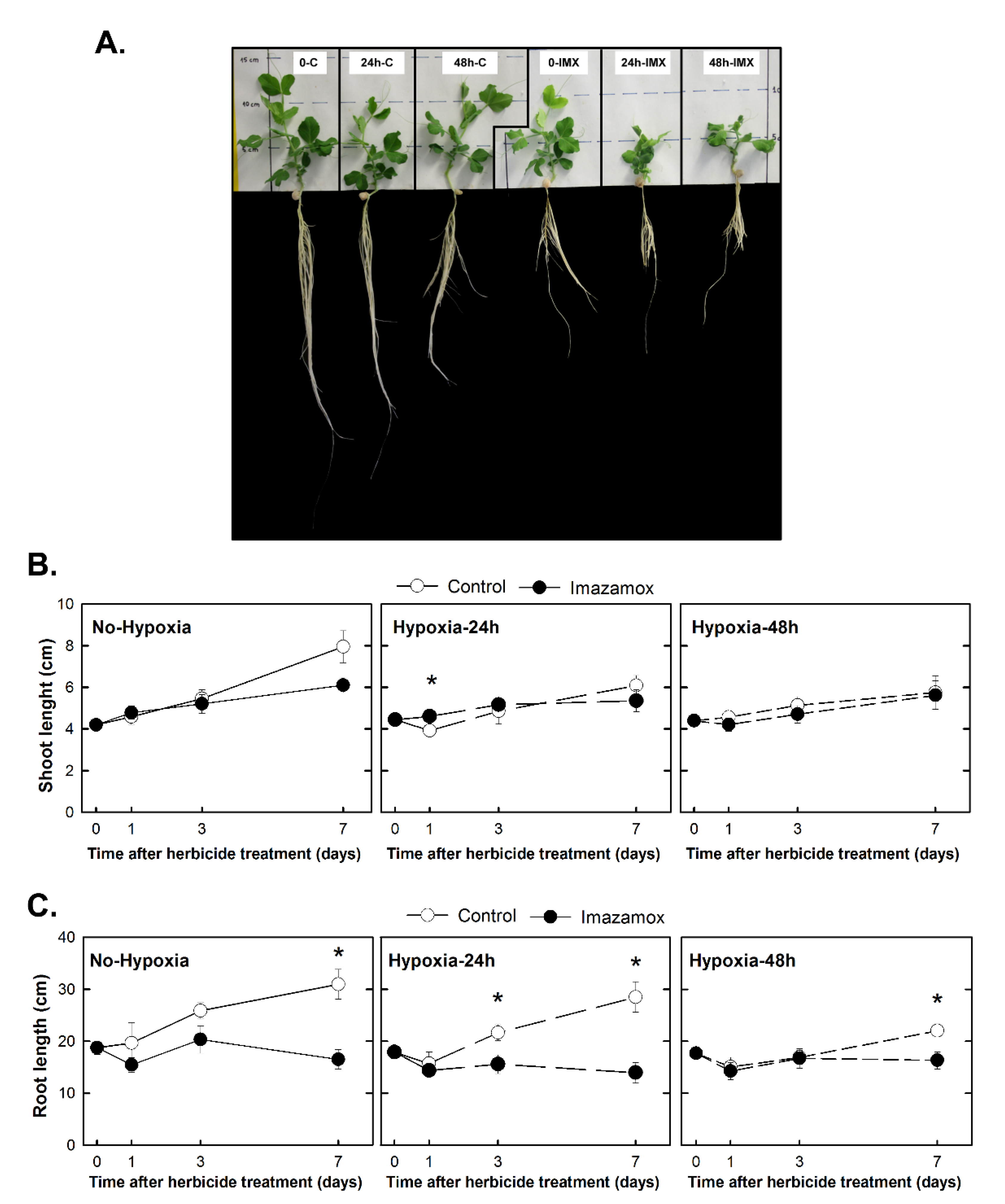 Plants 09 00981 g003