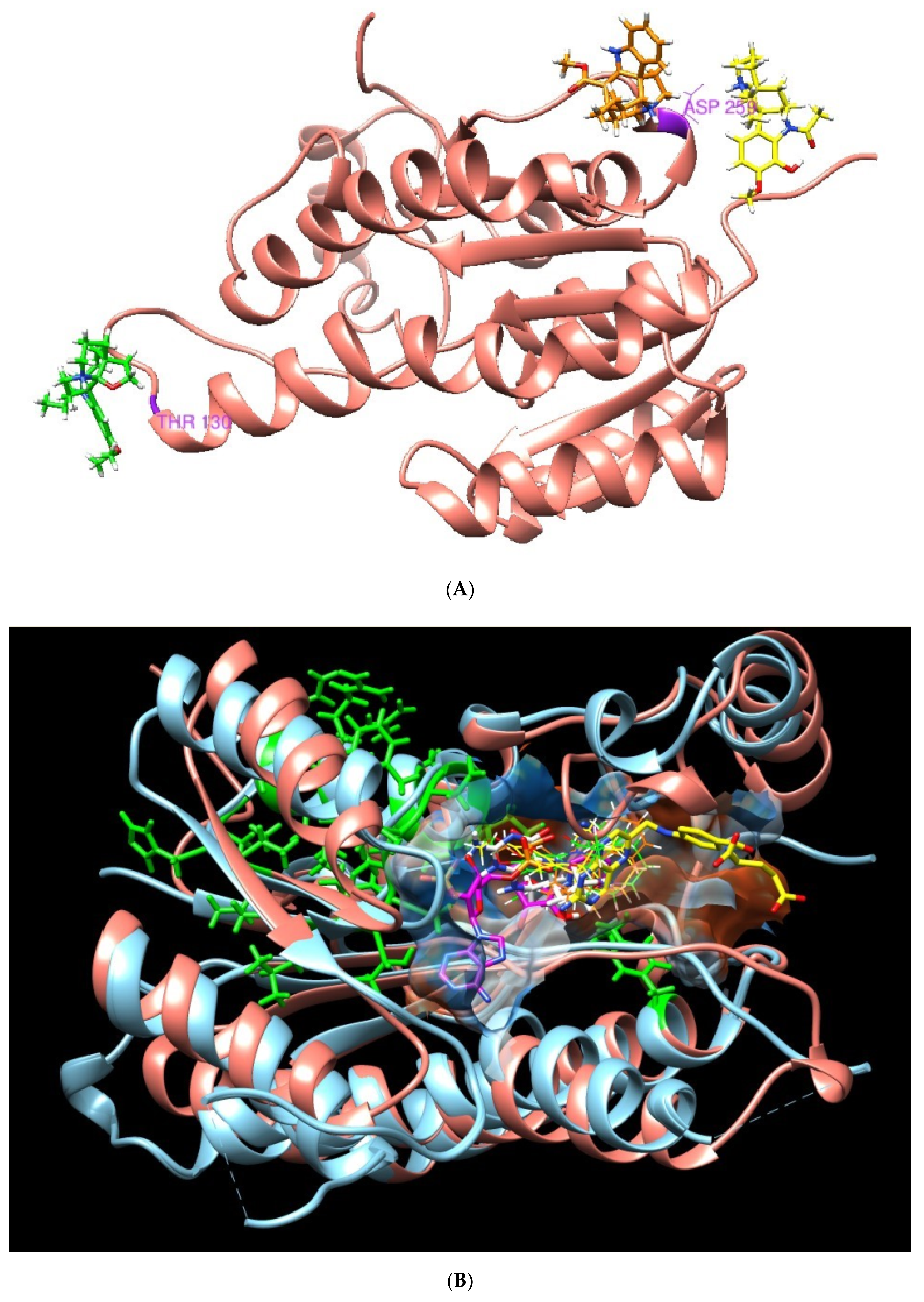 Plants 09 00983 g004