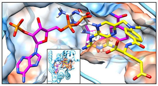 Plants 09 00983 g0a3