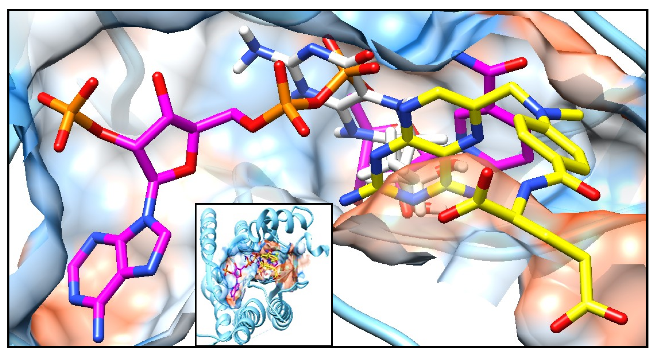 Plants 09 00983 g0a3