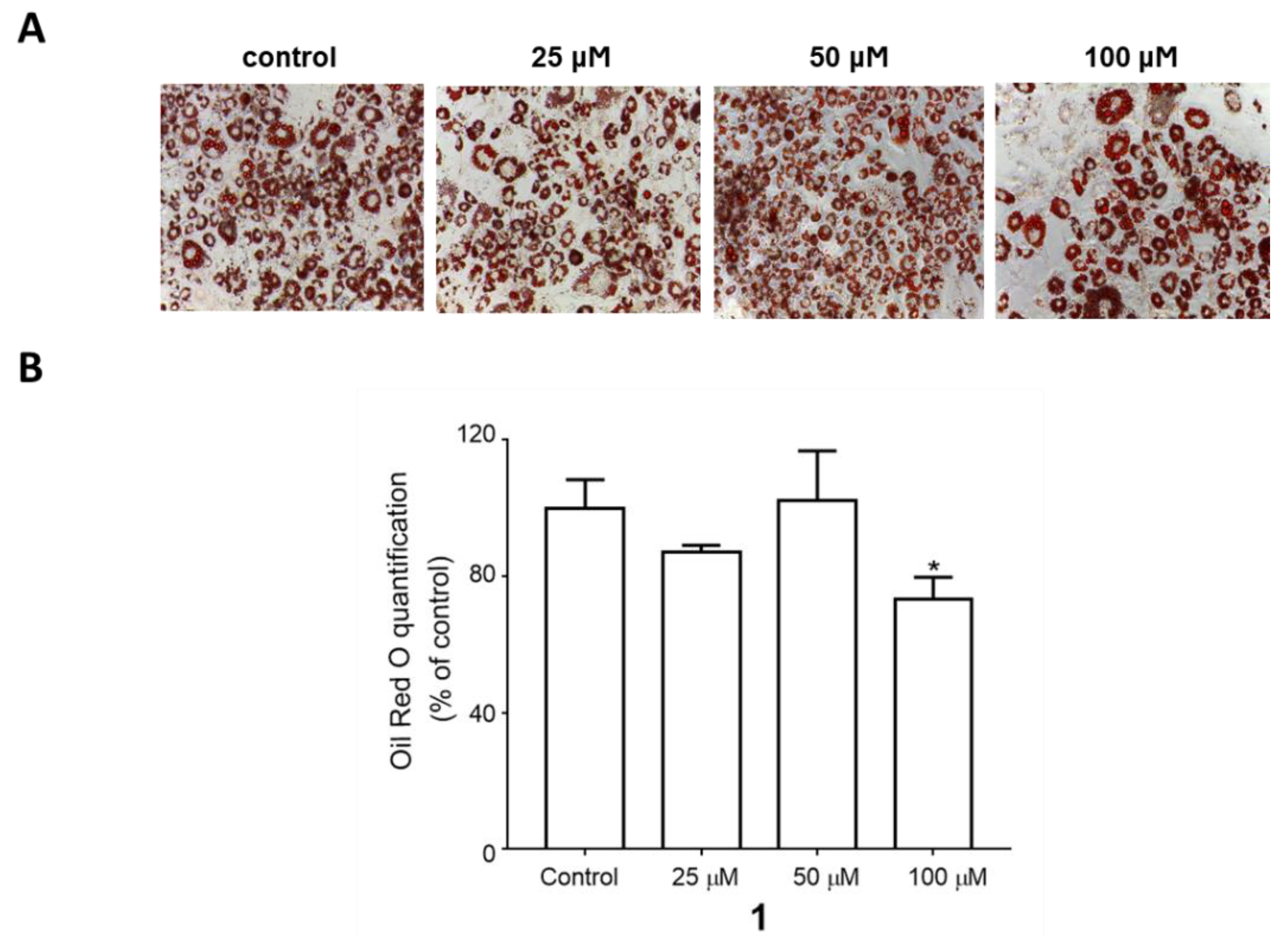 Plants 09 00984 g003 Plants 09 00984 g003