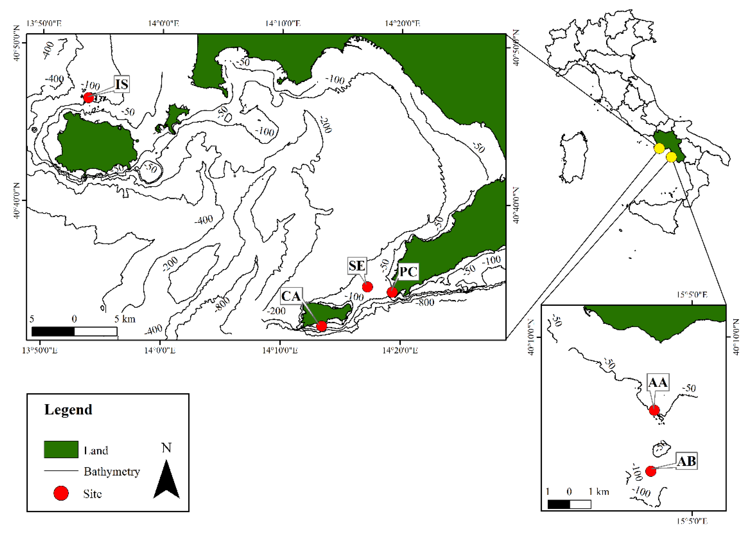 Plants 09 00985 g001