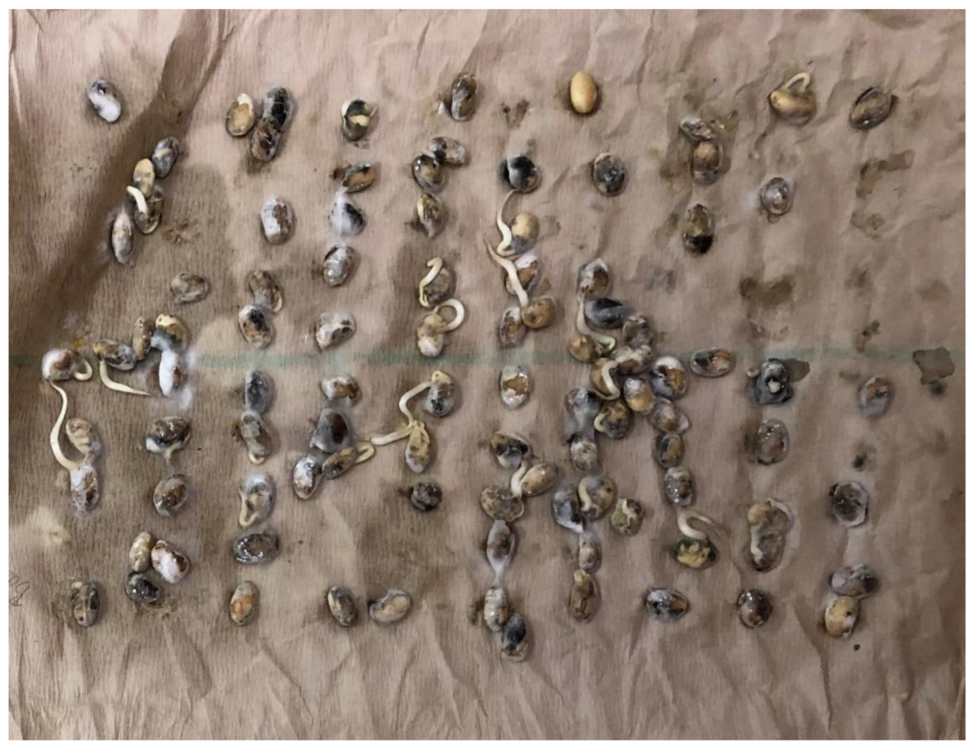 Plants 09 00993 g001