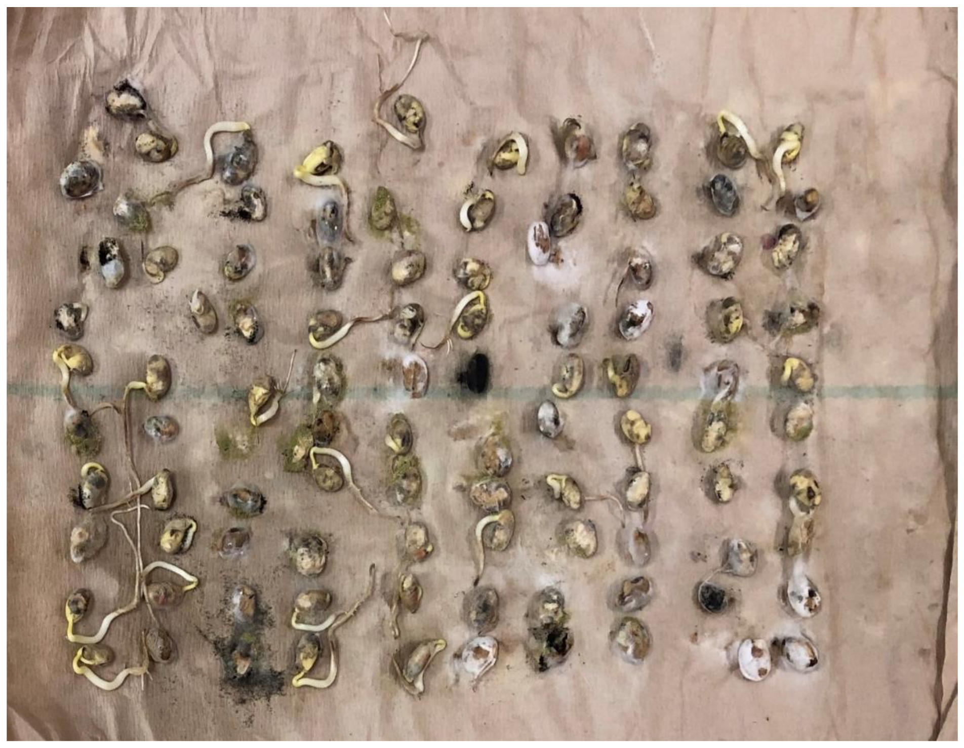 Plants 09 00993 g002