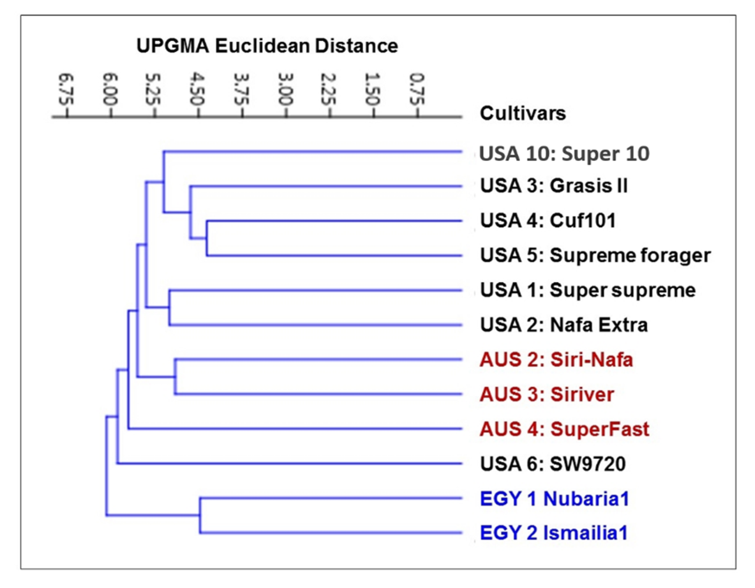 Plants 09 00995 g002