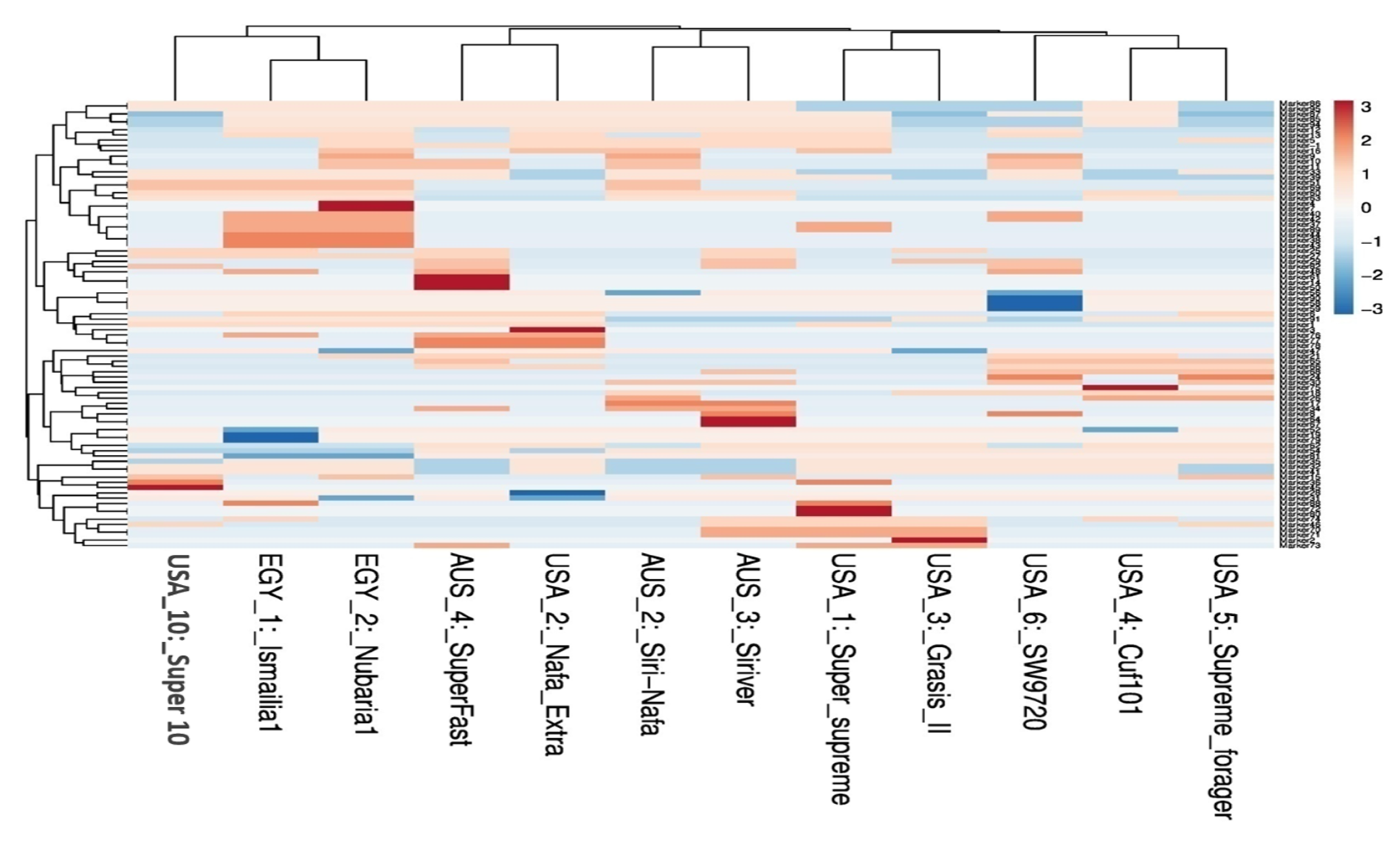 Plants 09 00995 g004