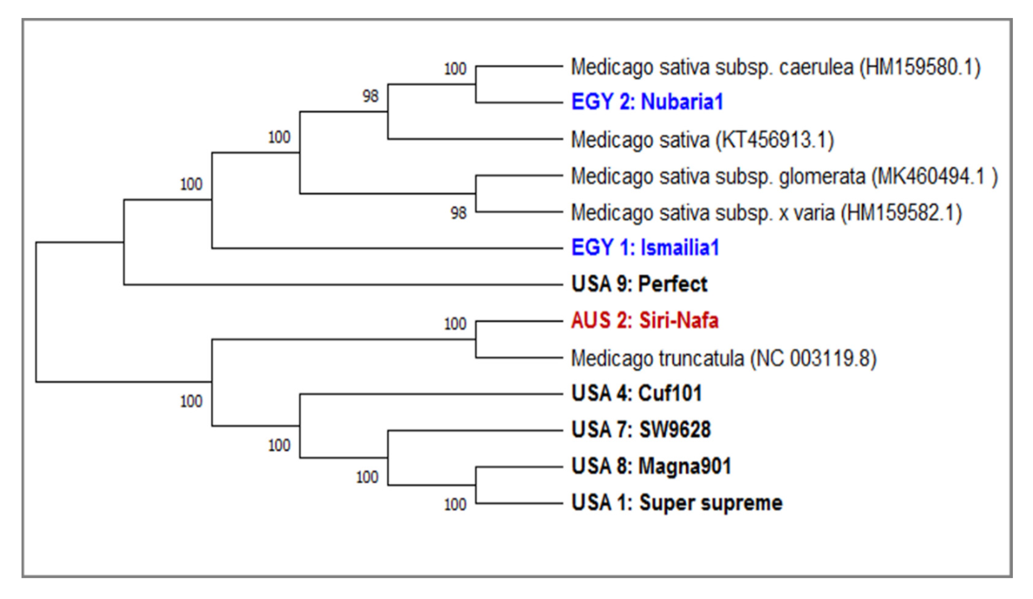 Plants 09 00995 g005