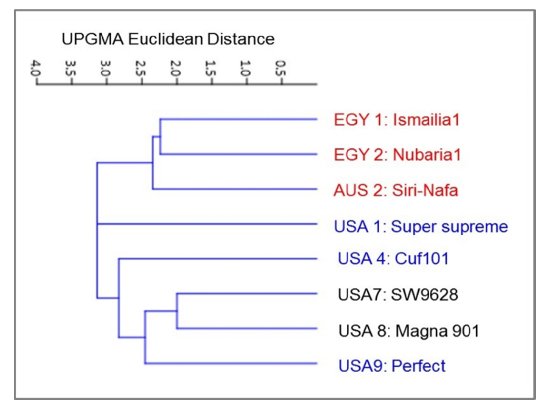 Plants 09 00995 g007