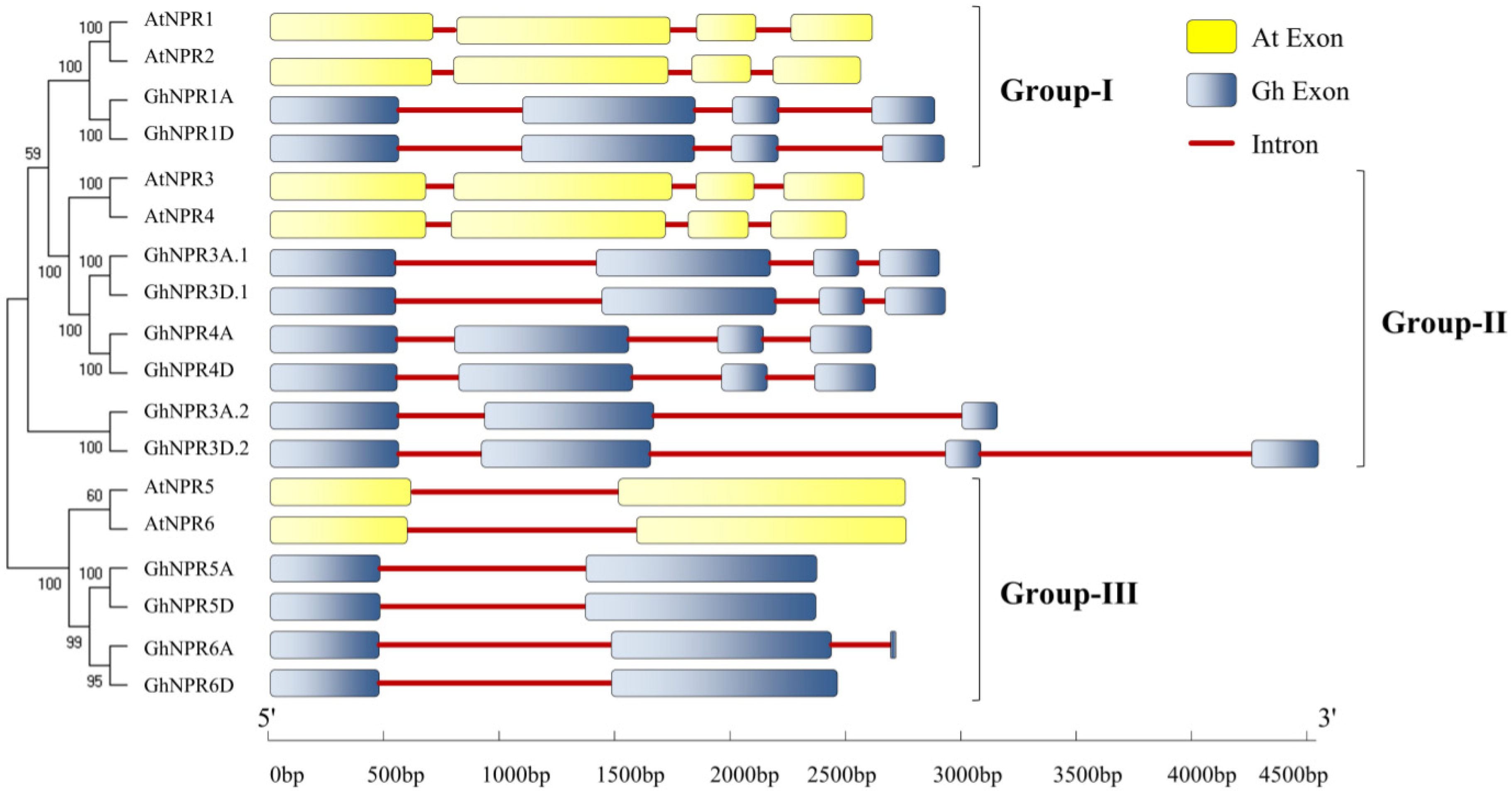 Plants 09 00999 g001