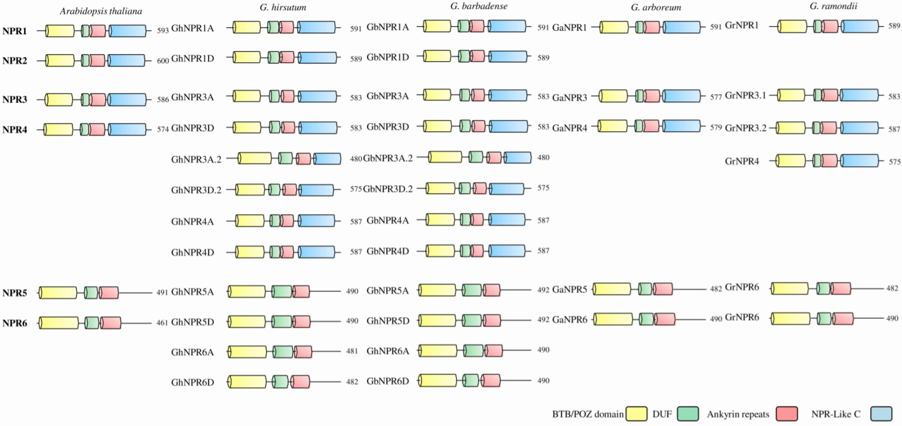 Plants 09 00999 g002