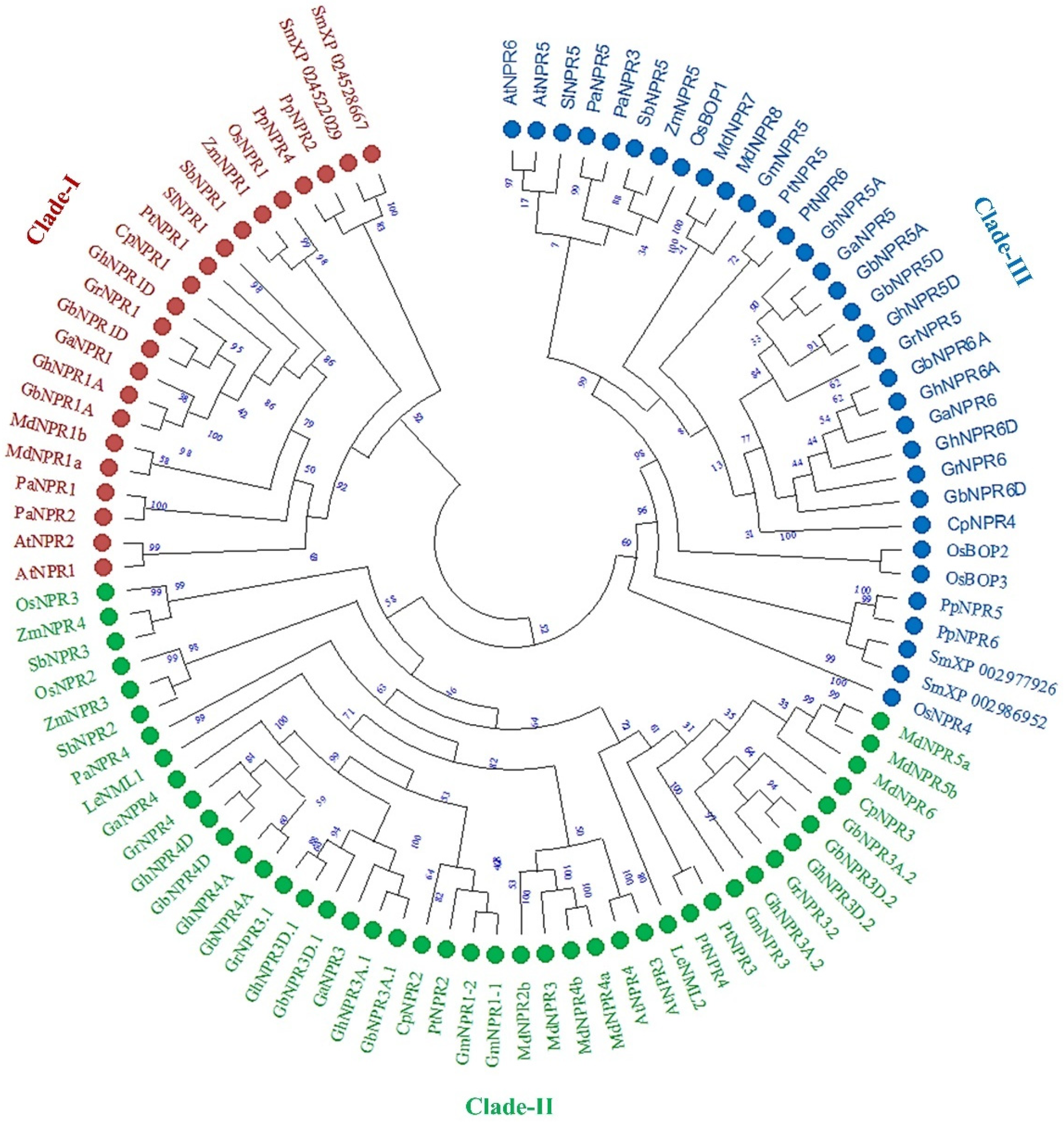 Plants 09 00999 g003