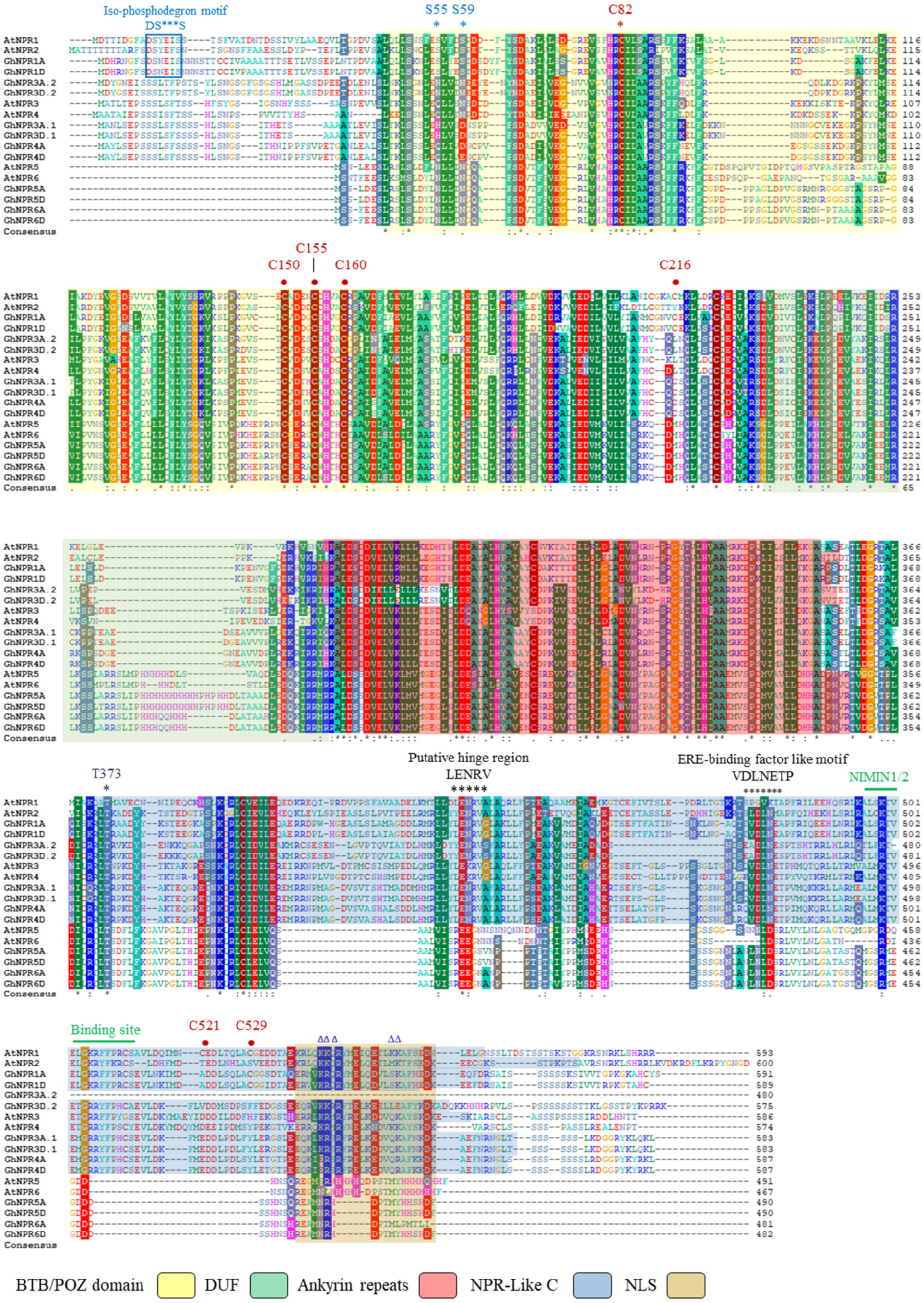 Plants 09 00999 g005