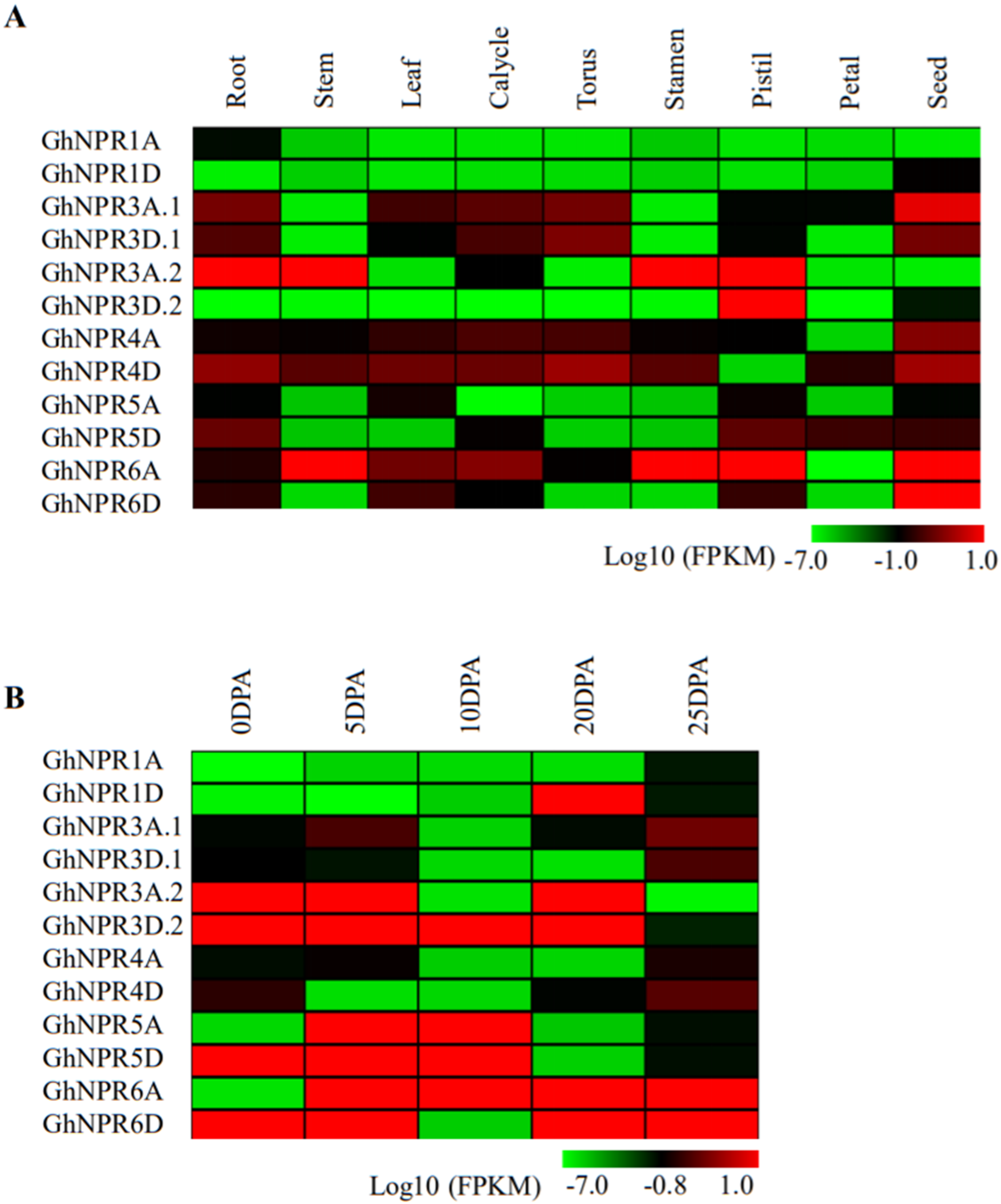 Plants 09 00999 g007