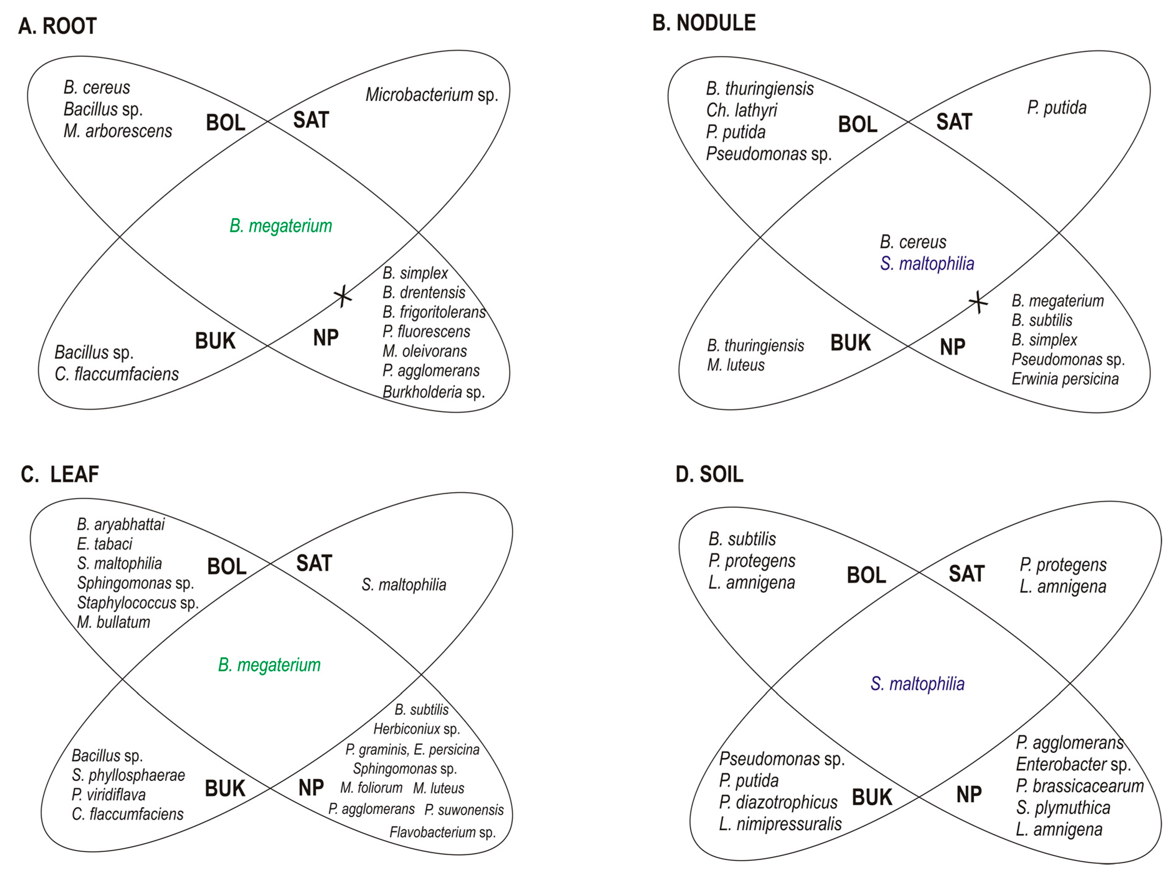 Plants 09 01002 g003