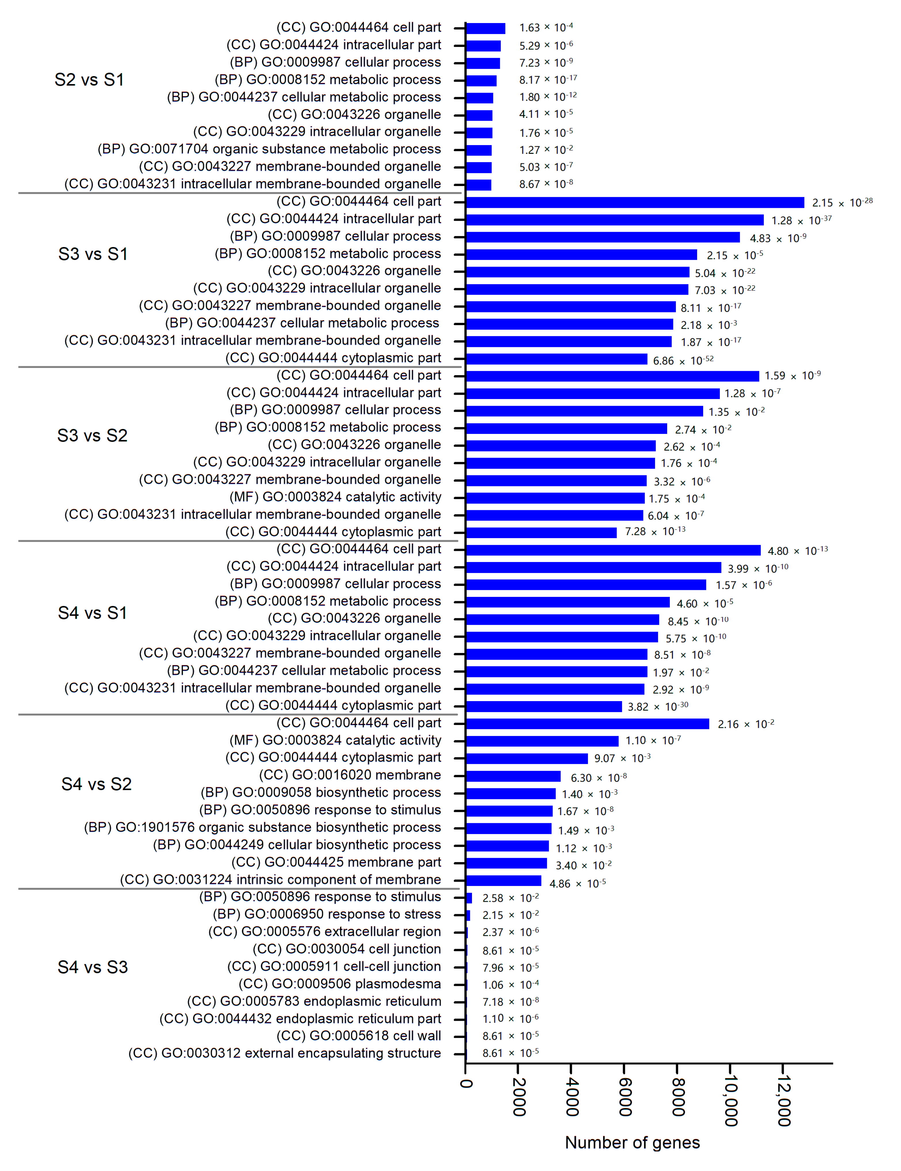Plants 09 01006 g005