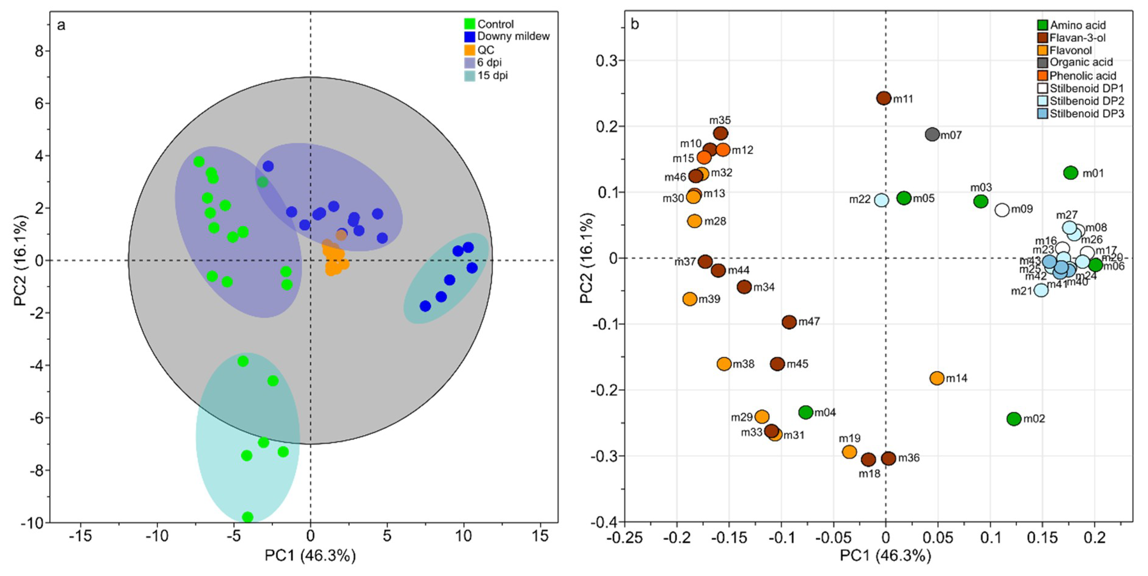 Plants 09 01008 g001