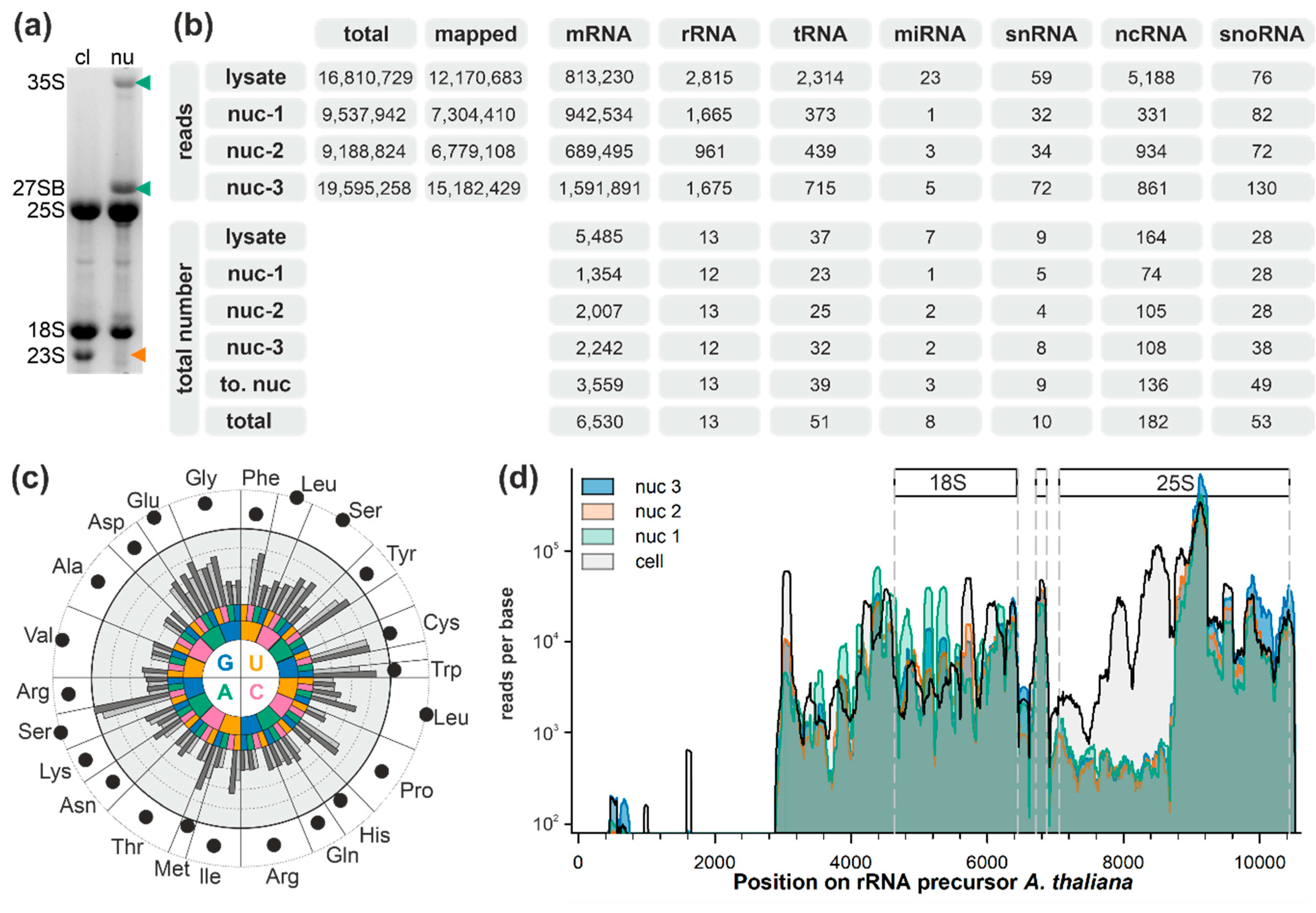 Plants 09 01016 g001