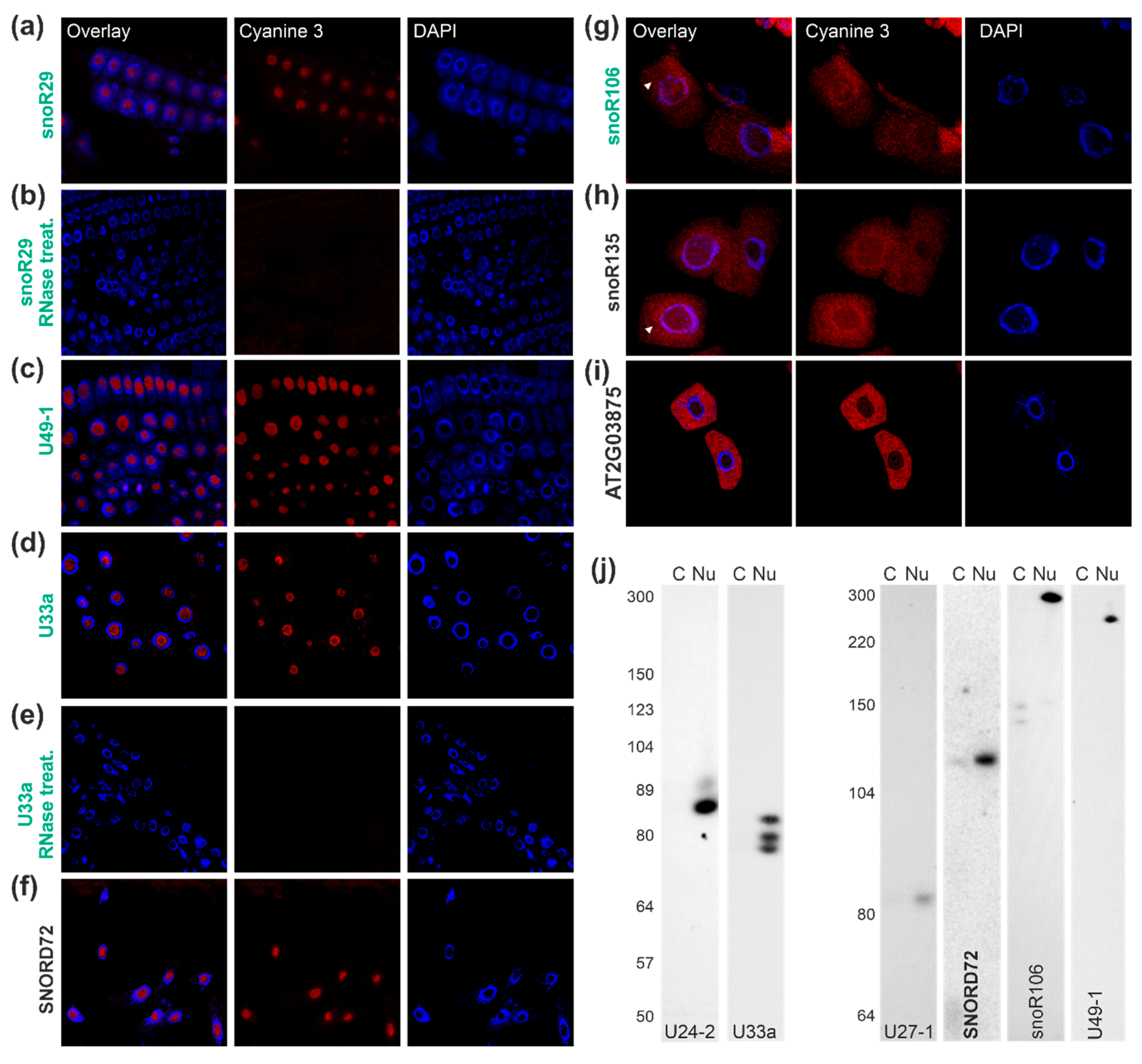 Plants 09 01016 g004