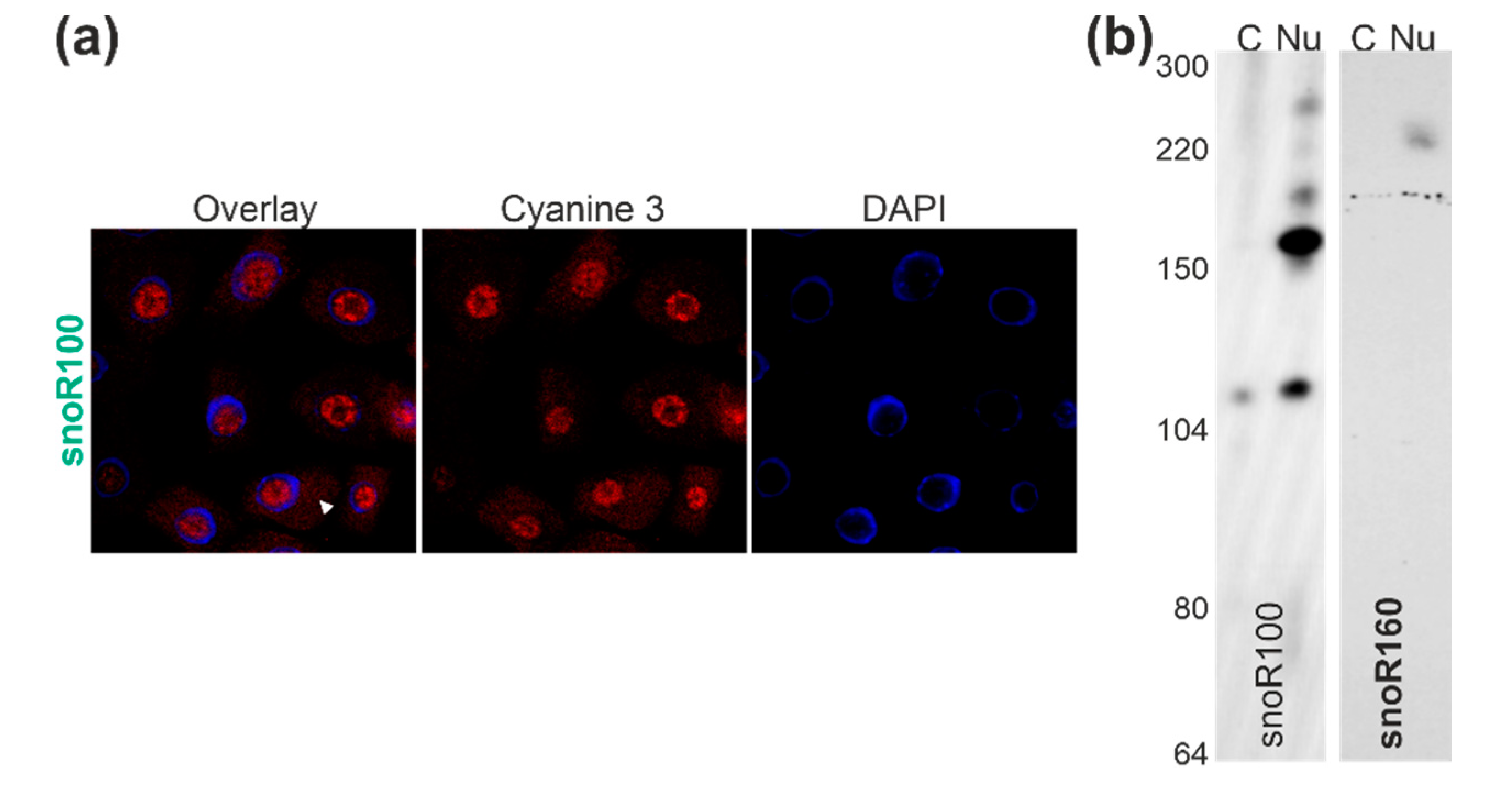 Plants 09 01016 g005