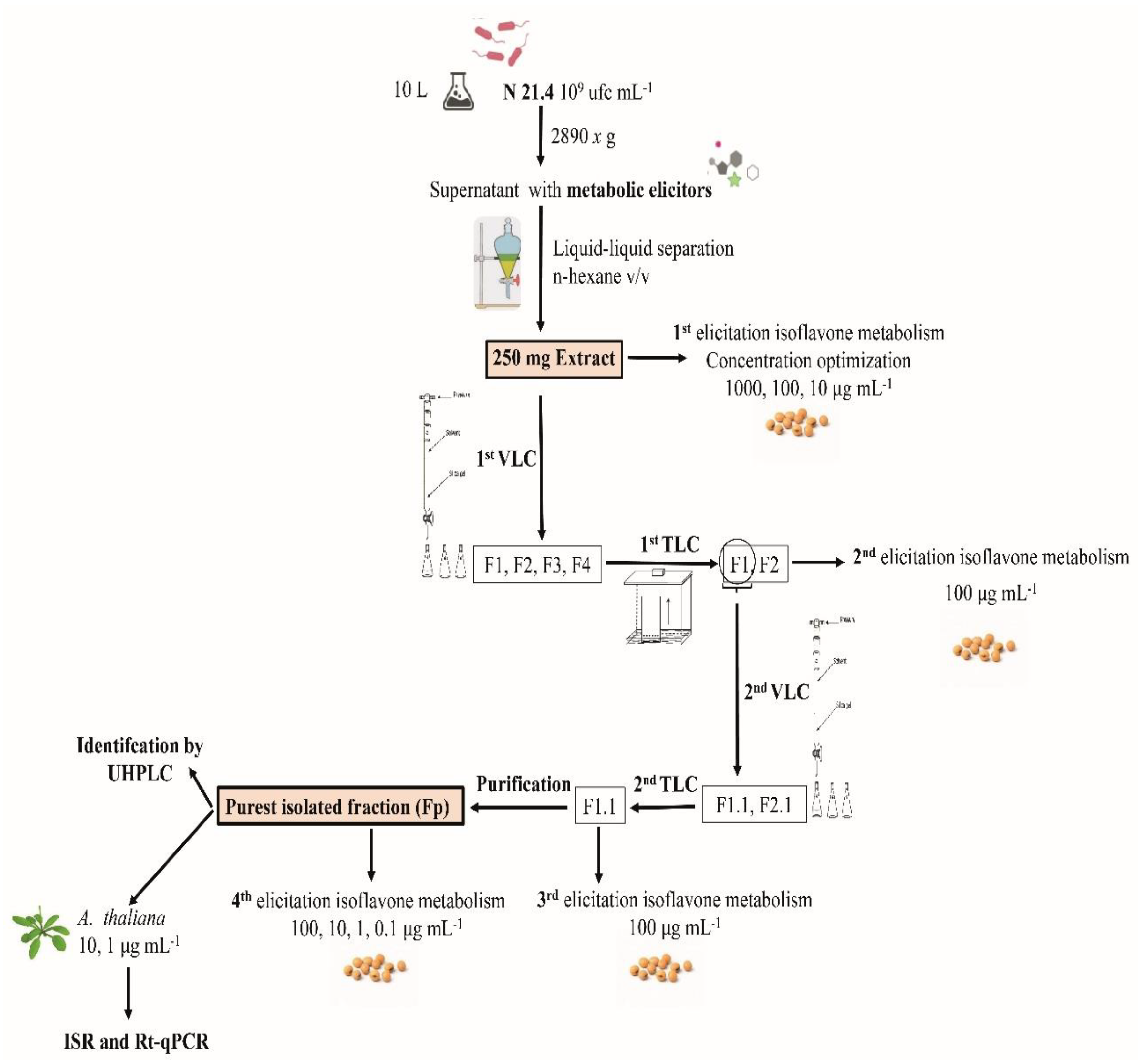Plants 09 01020 g001