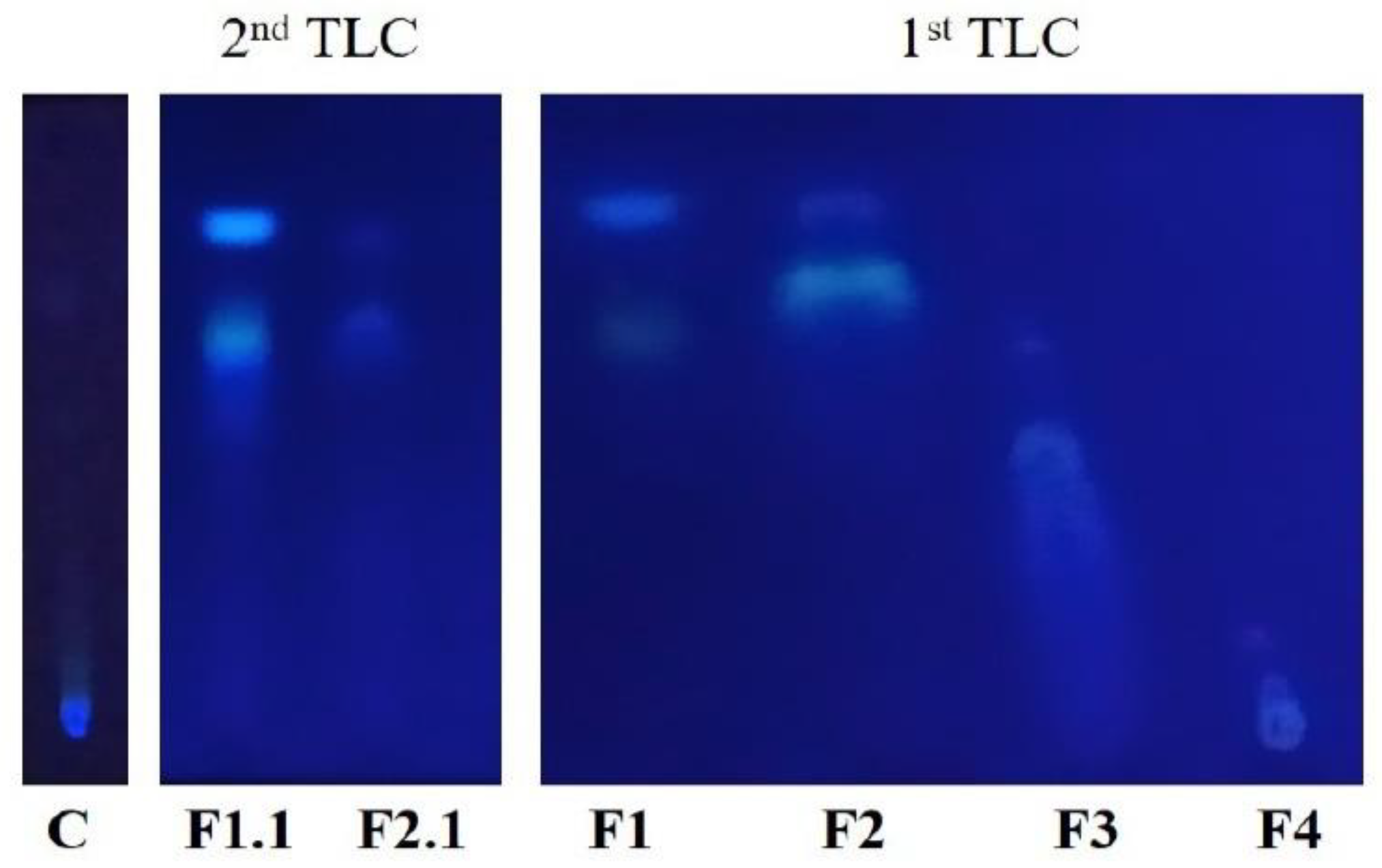 Plants 09 01020 g005