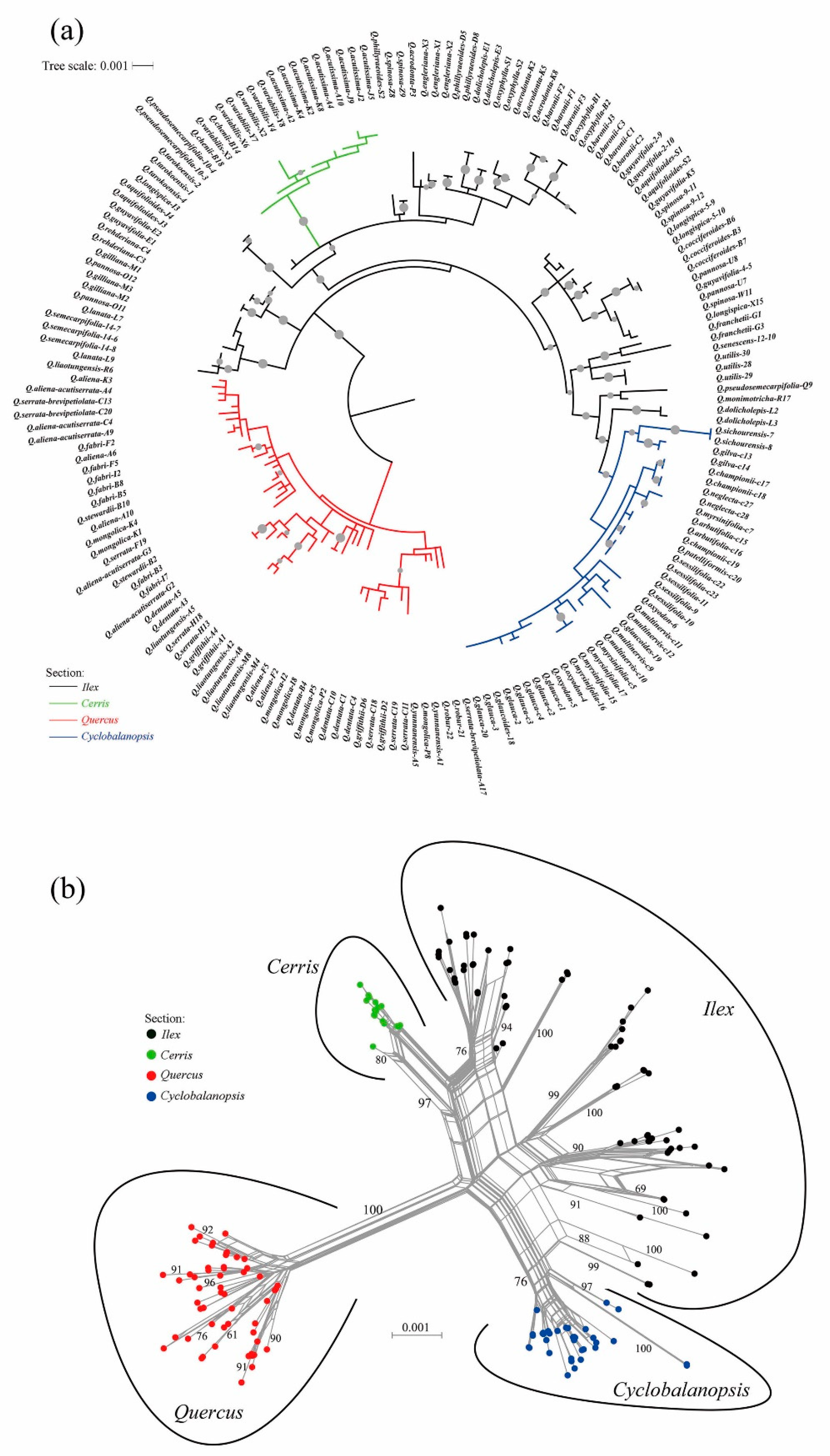 Plants 09 01024 g001