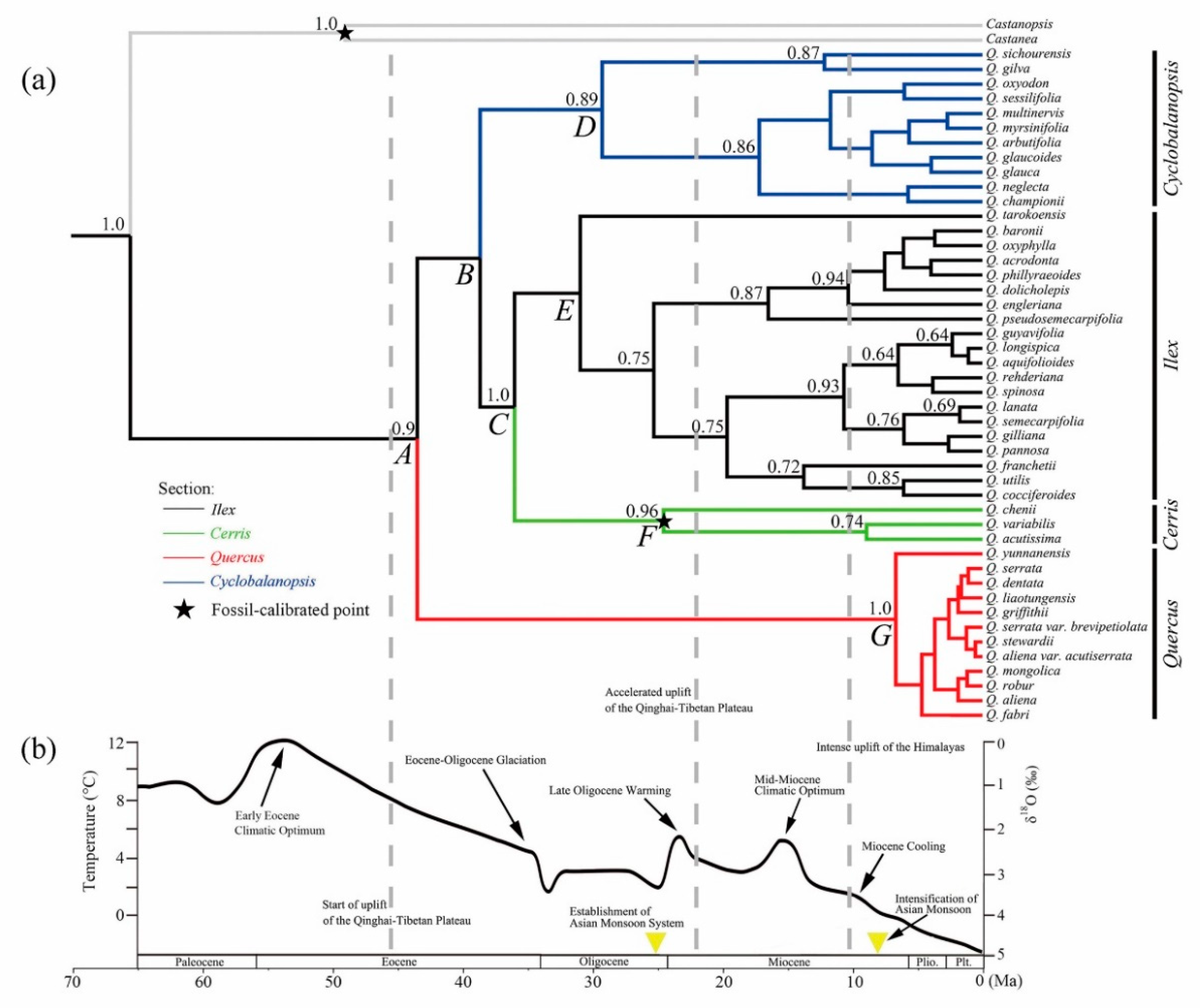 Plants 09 01024 g002