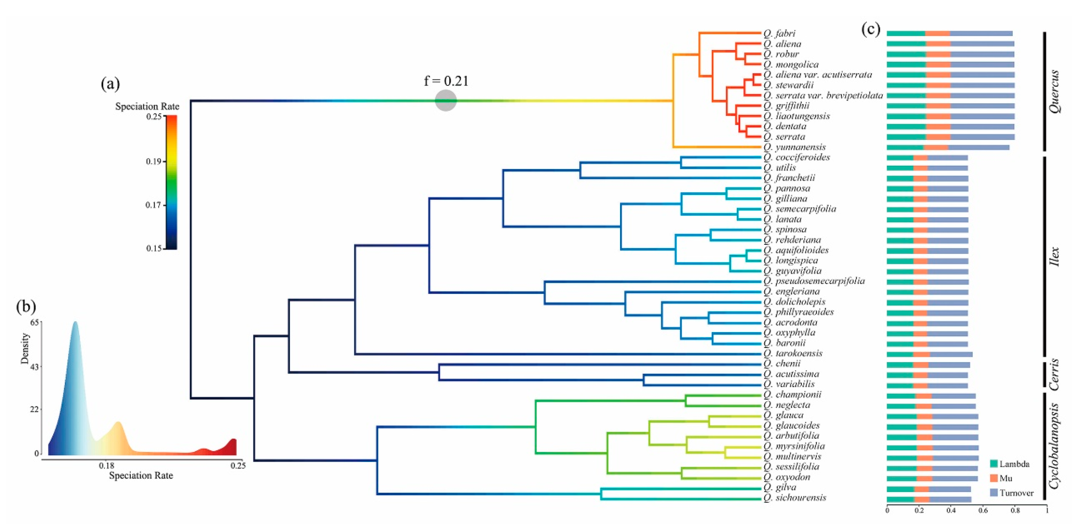 Plants 09 01024 g003