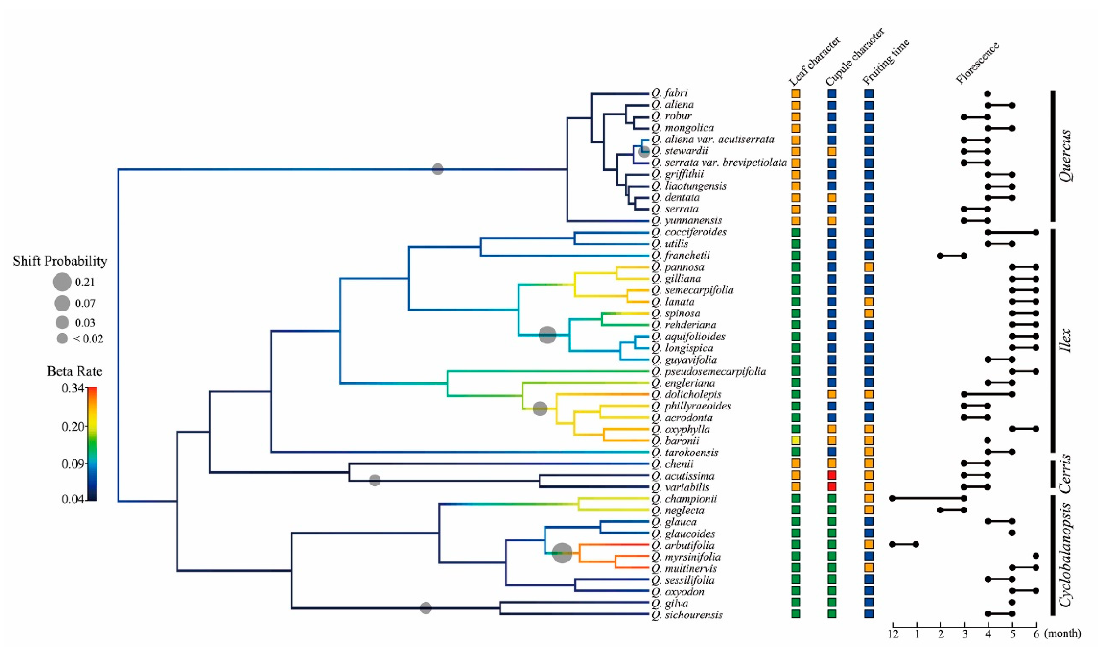 Plants 09 01024 g004