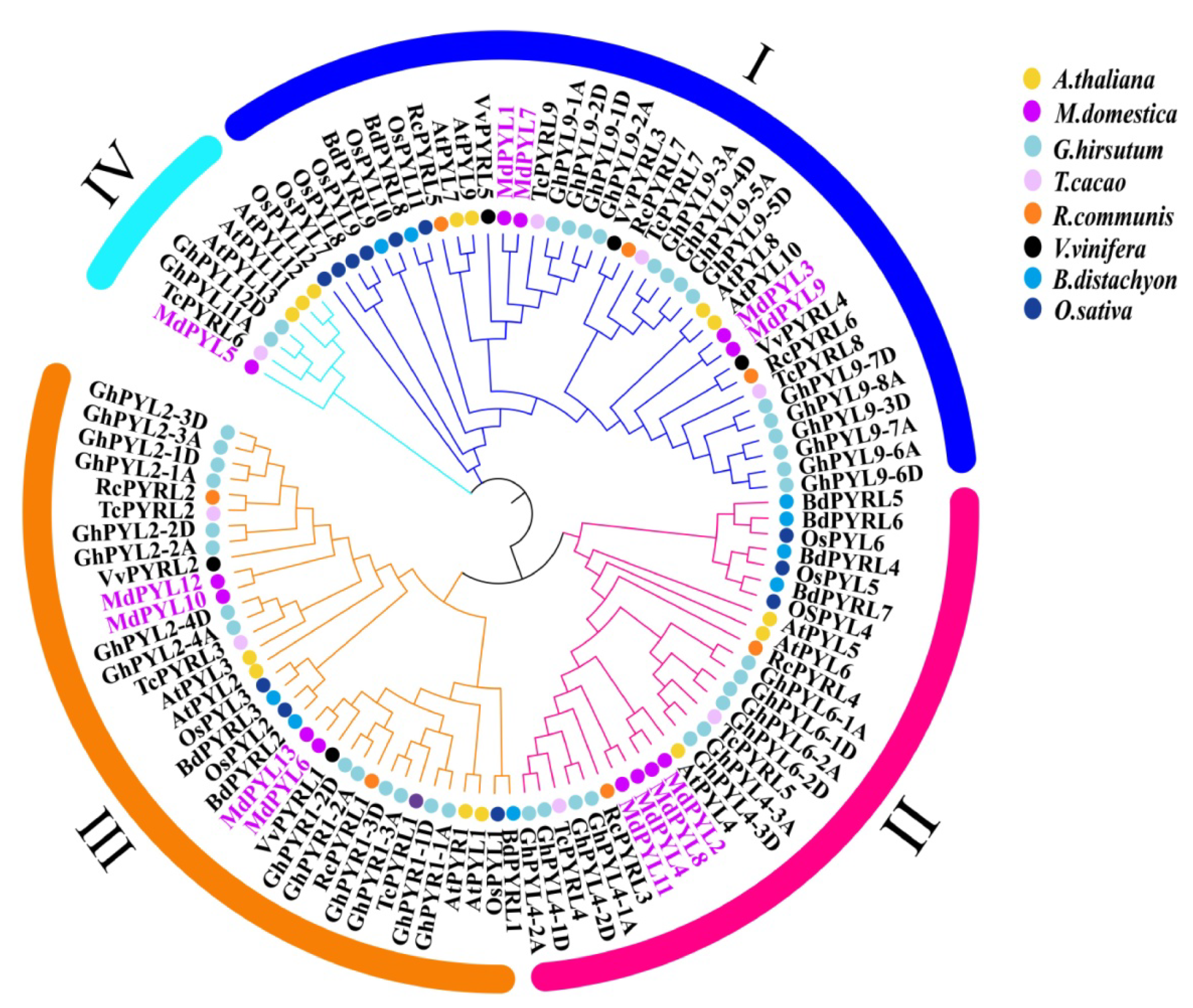 Plants 09 01028 g002