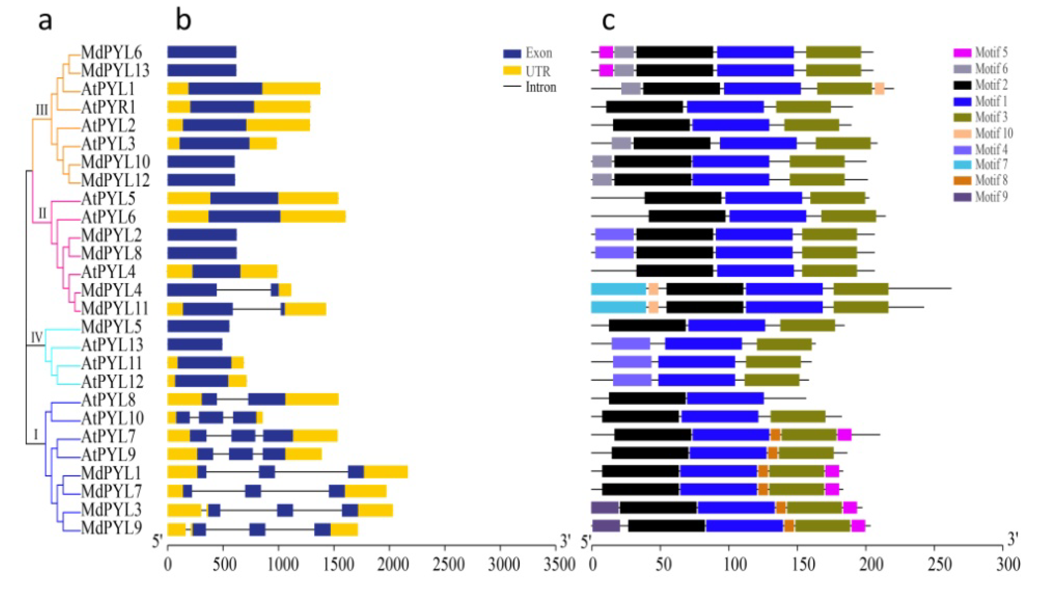 Plants 09 01028 g006