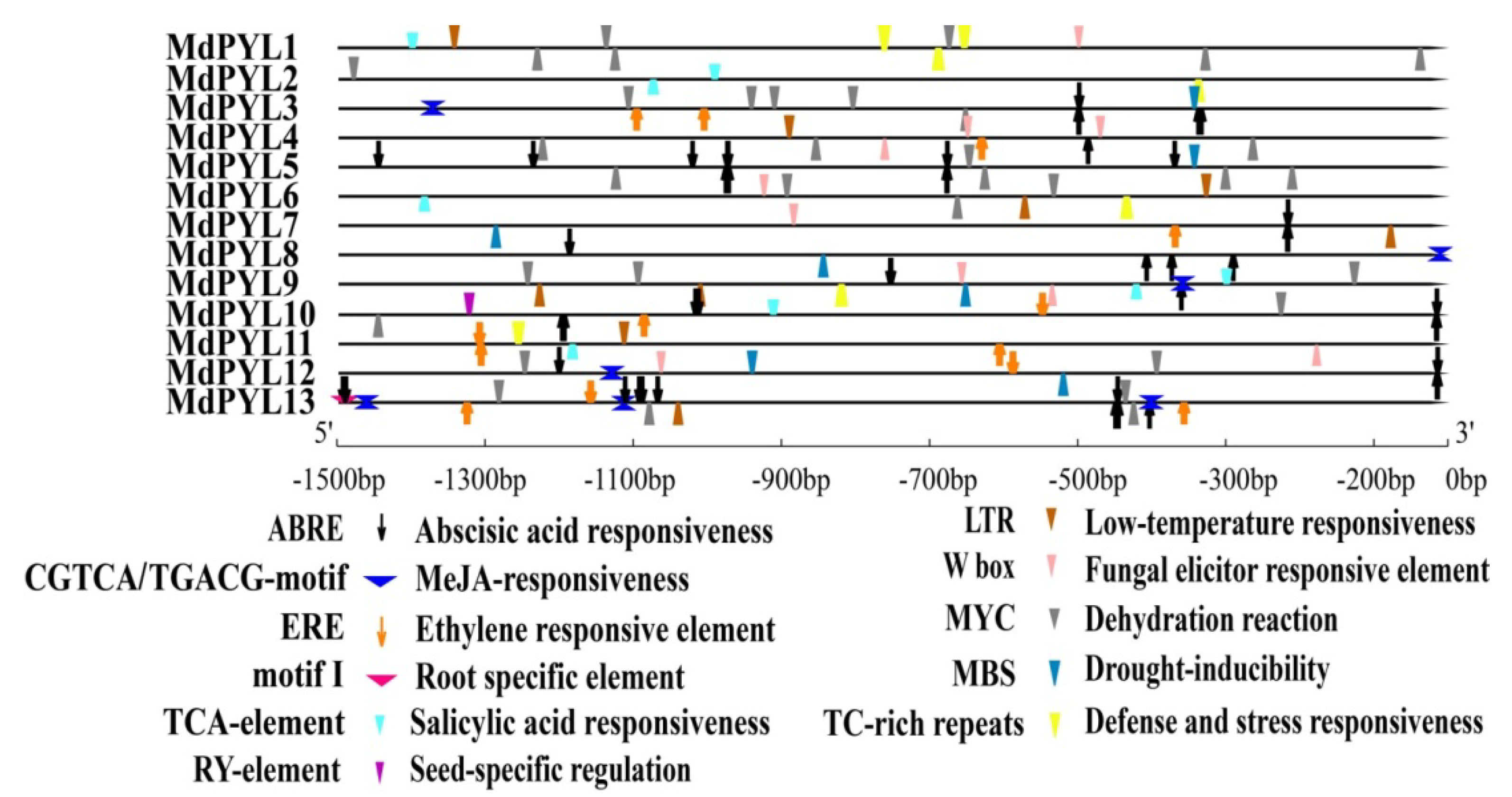 Plants 09 01028 g007