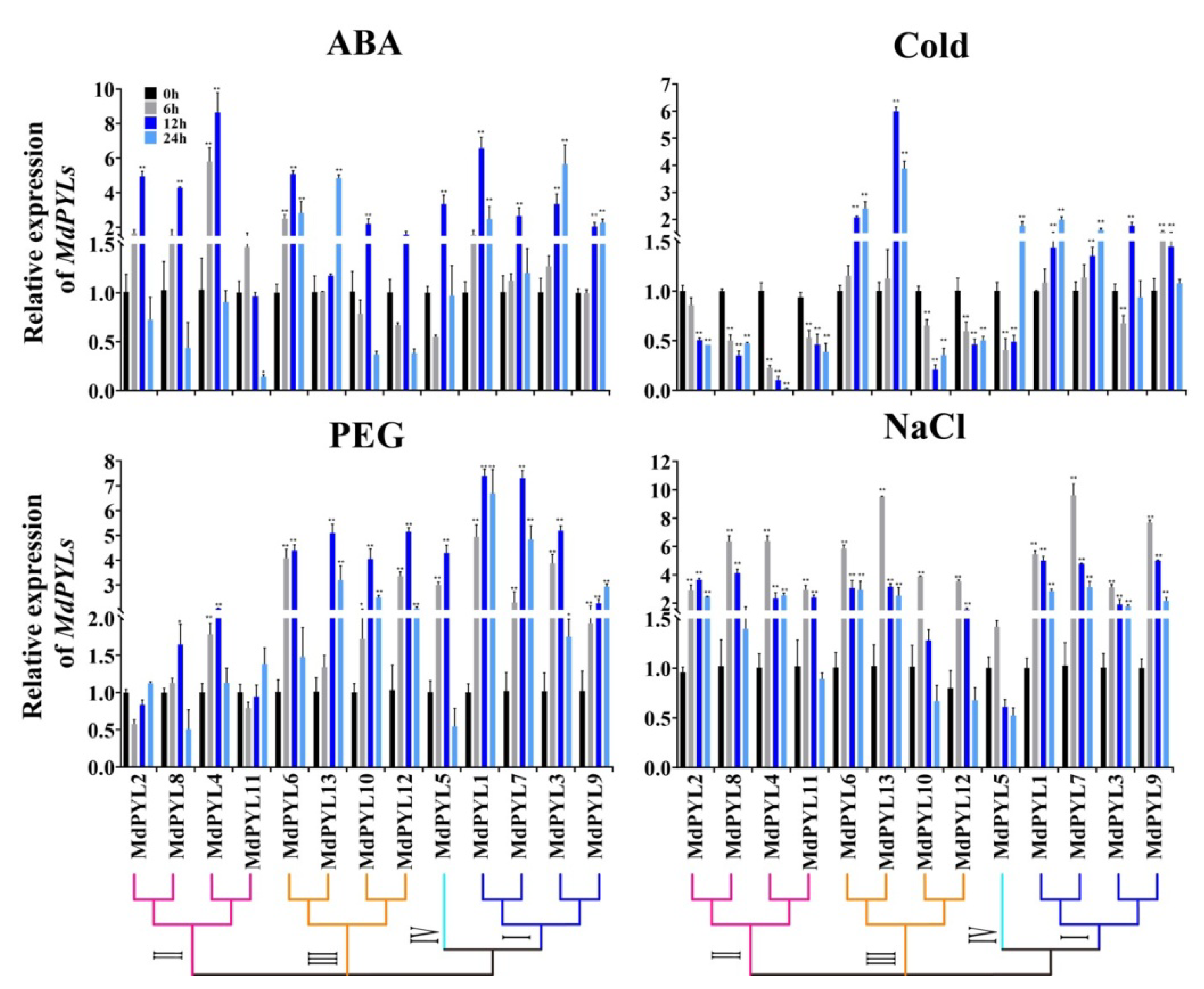 Plants 09 01028 g009