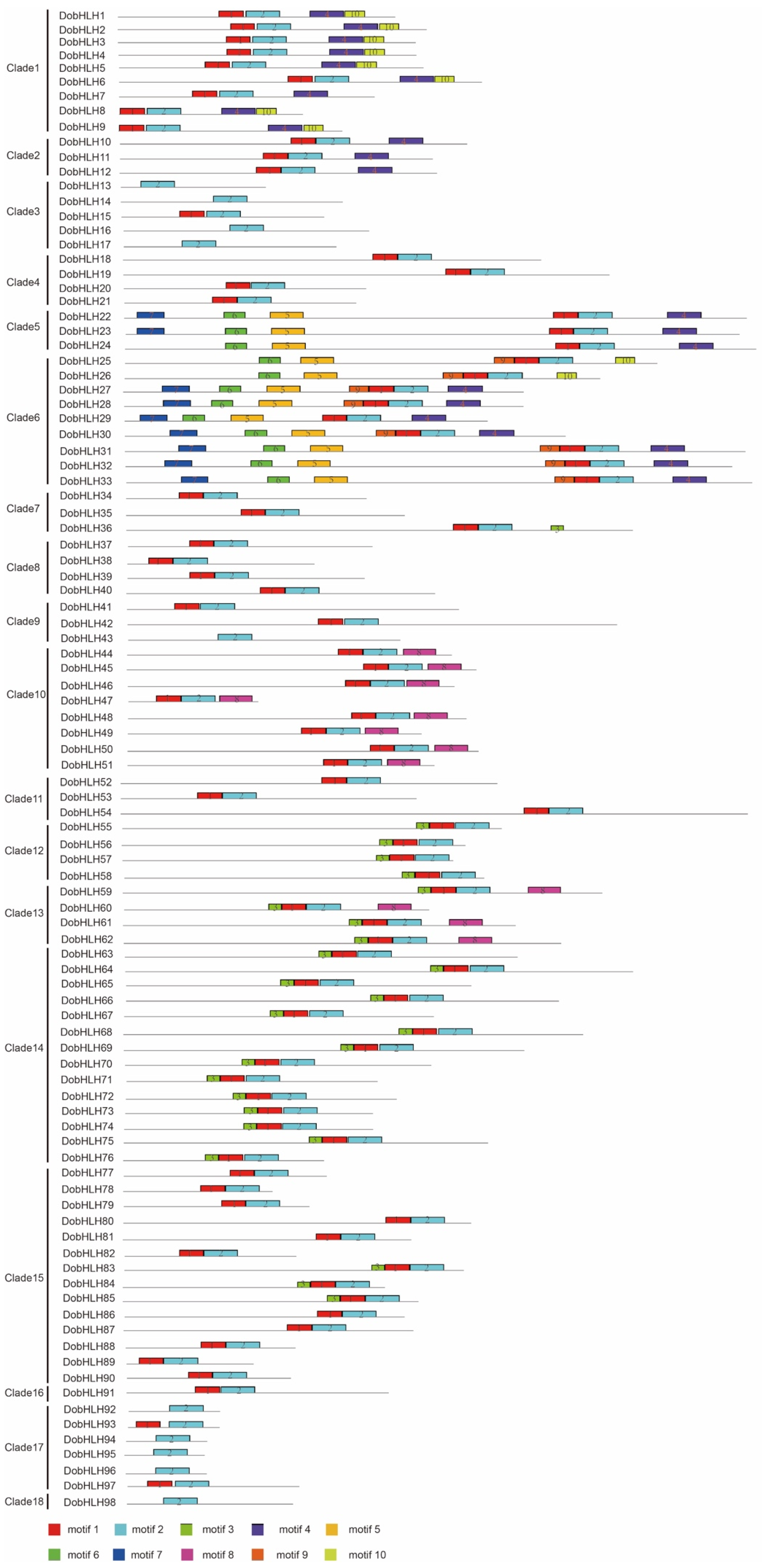 Plants 09 01044 g003