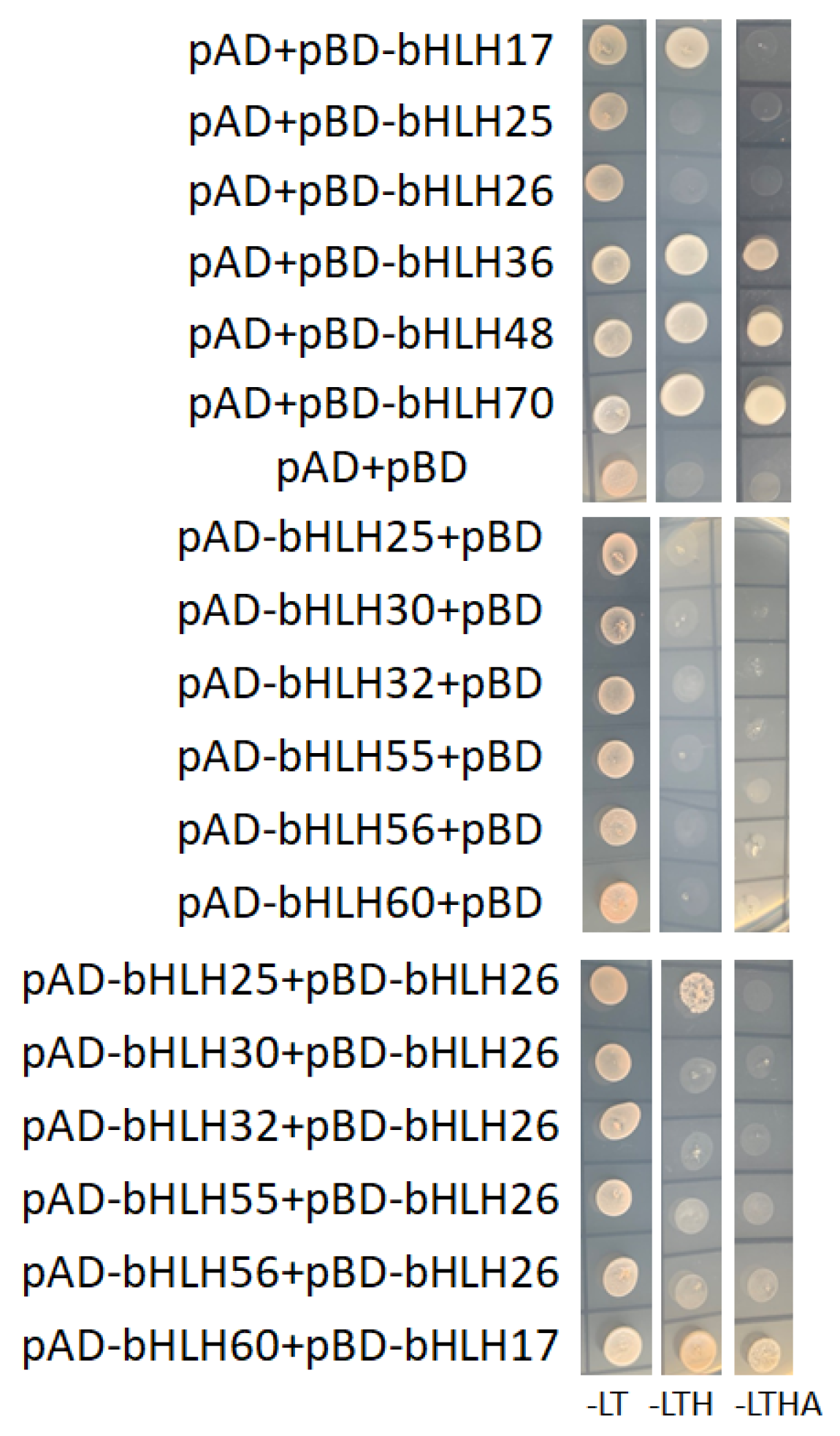 Plants 09 01044 g008