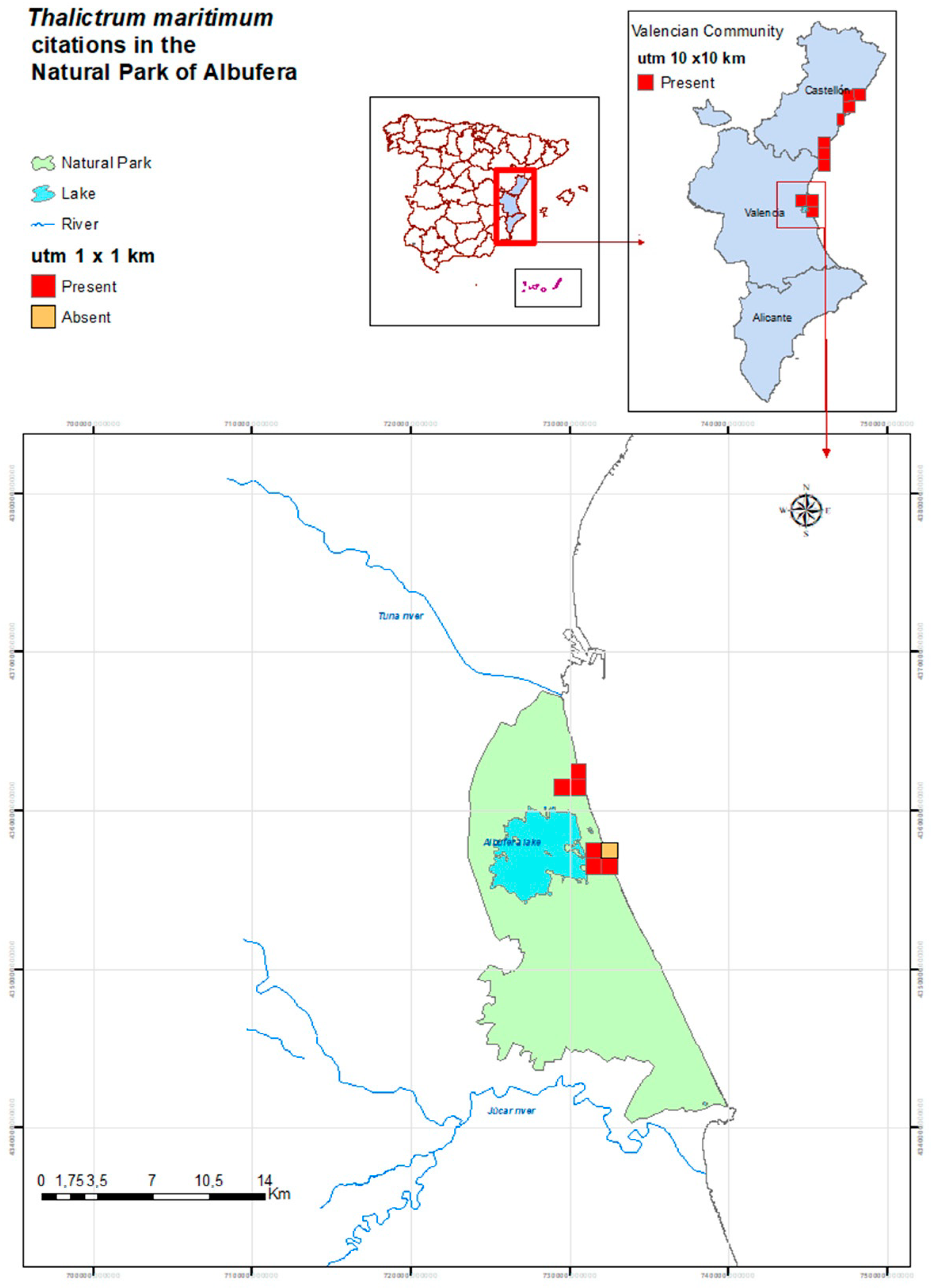 Plants 09 01251 g001