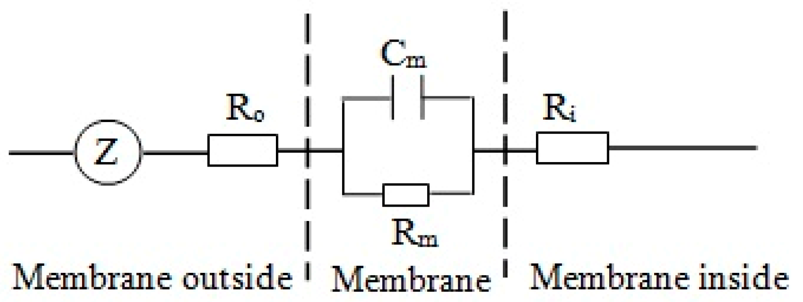 Plants 09 01256 g001