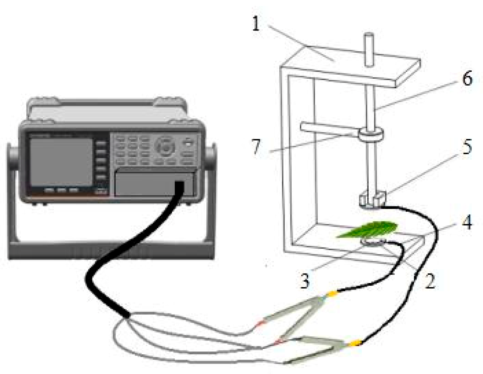 Plants 09 01256 g005