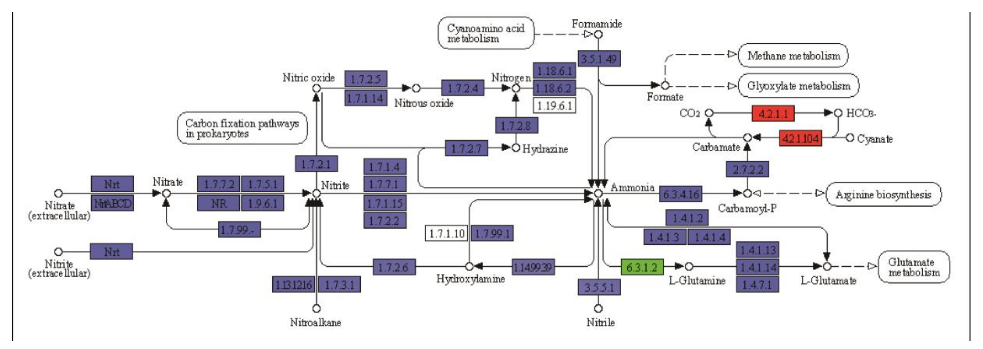 Plants 09 01267 g007 Plants 09 01267 g007