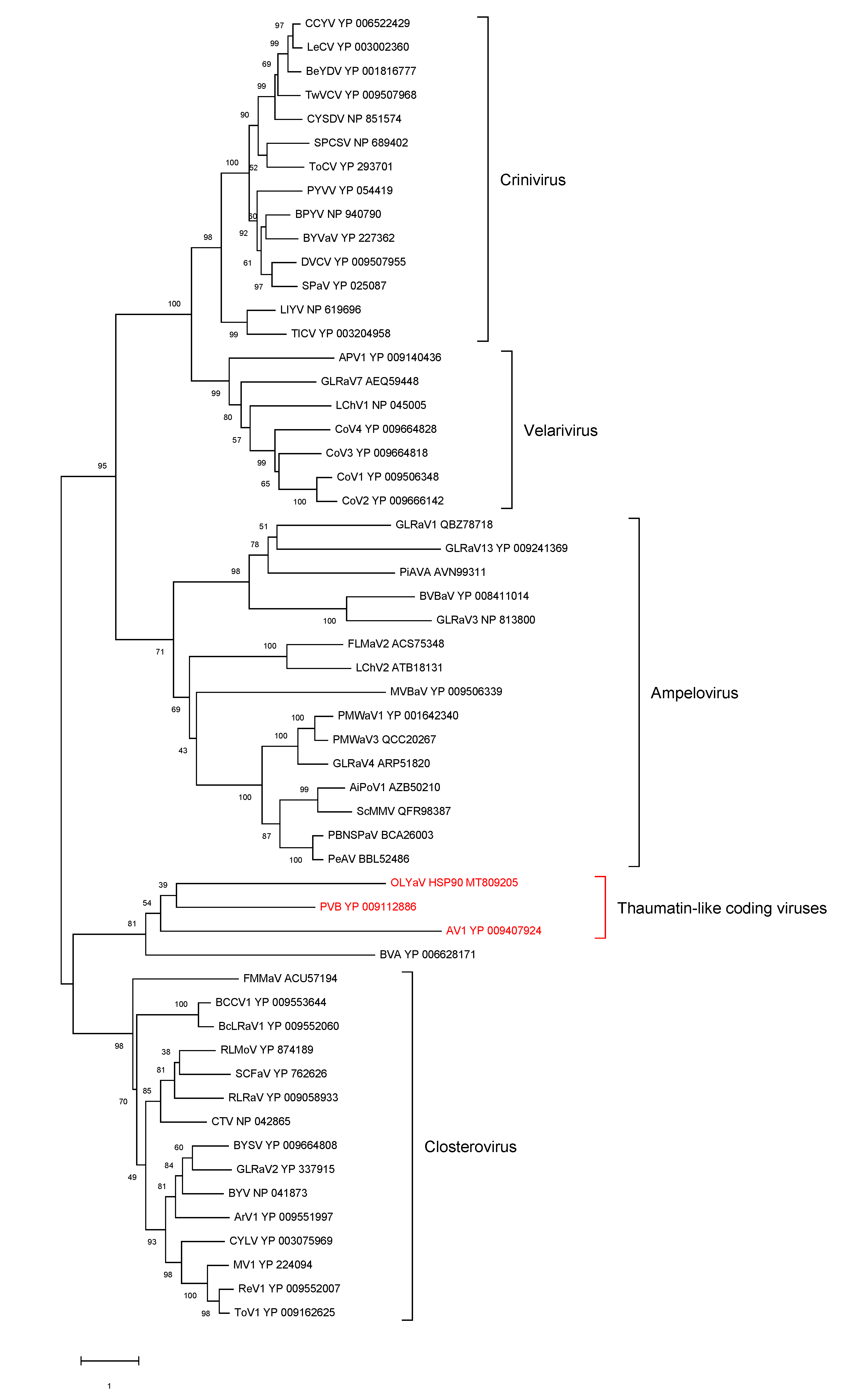 Plants 09 01272 g009
