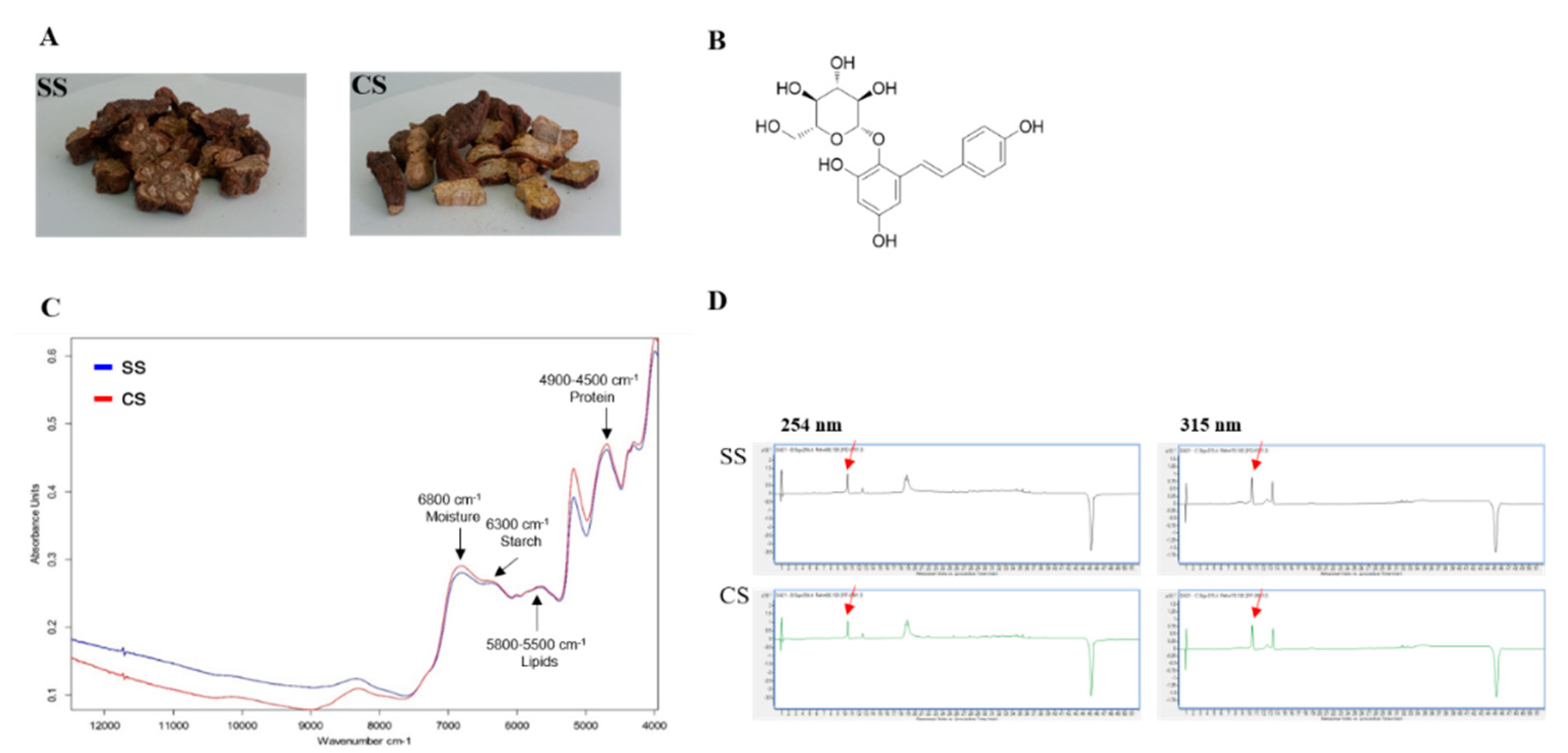 Plants 09 01280 g004