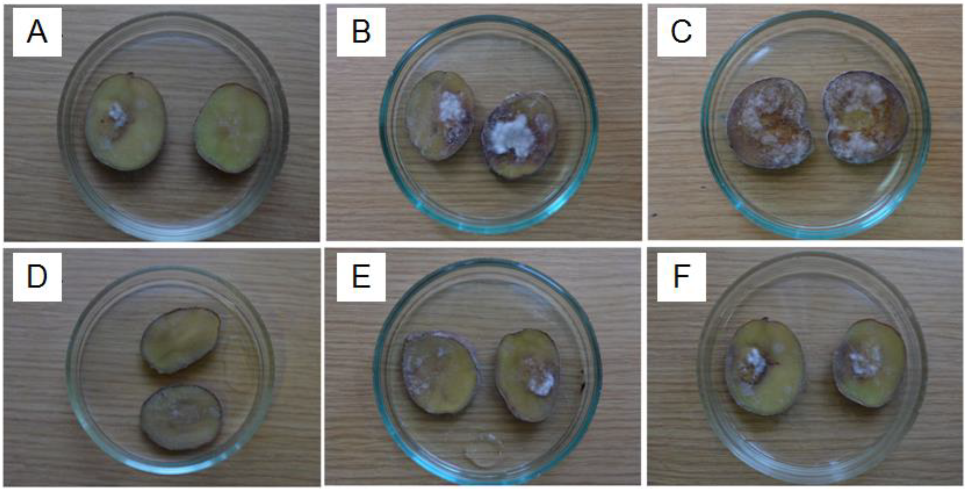 Plants 09 01294 g003