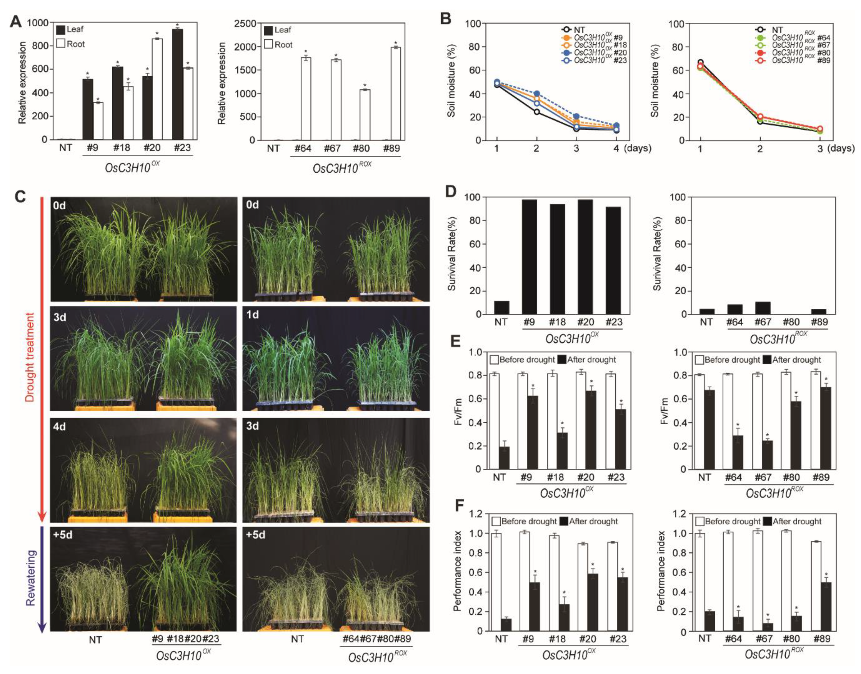 Plants 09 01298 g003 Plants 09 01298 g003