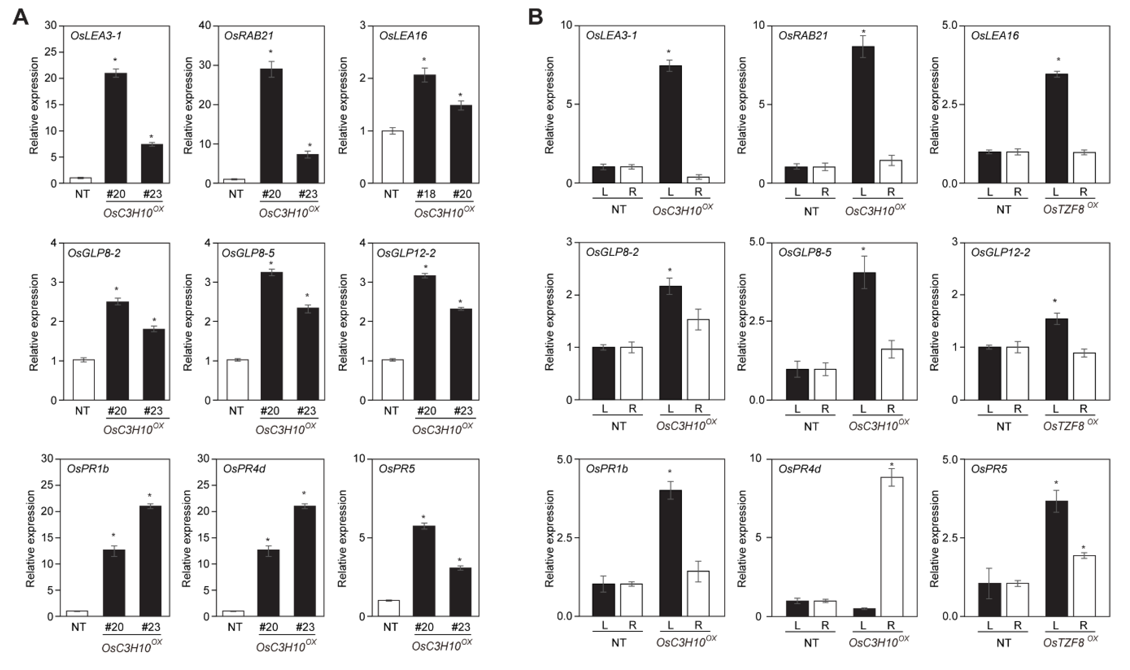 Plants 09 01298 g004 Plants 09 01298 g004